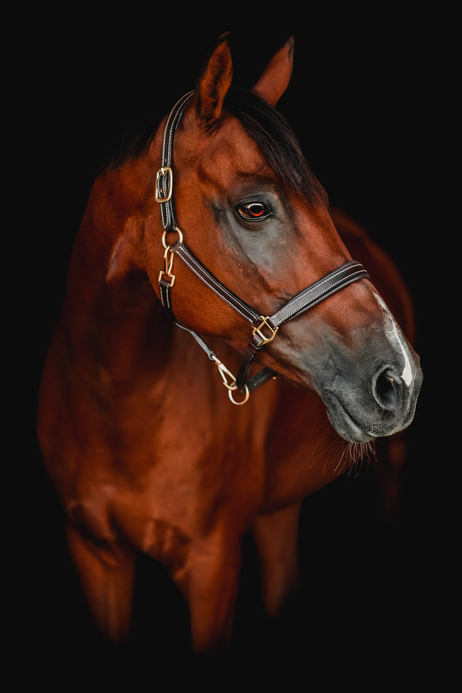 Kuor-1-Etruska-Tar