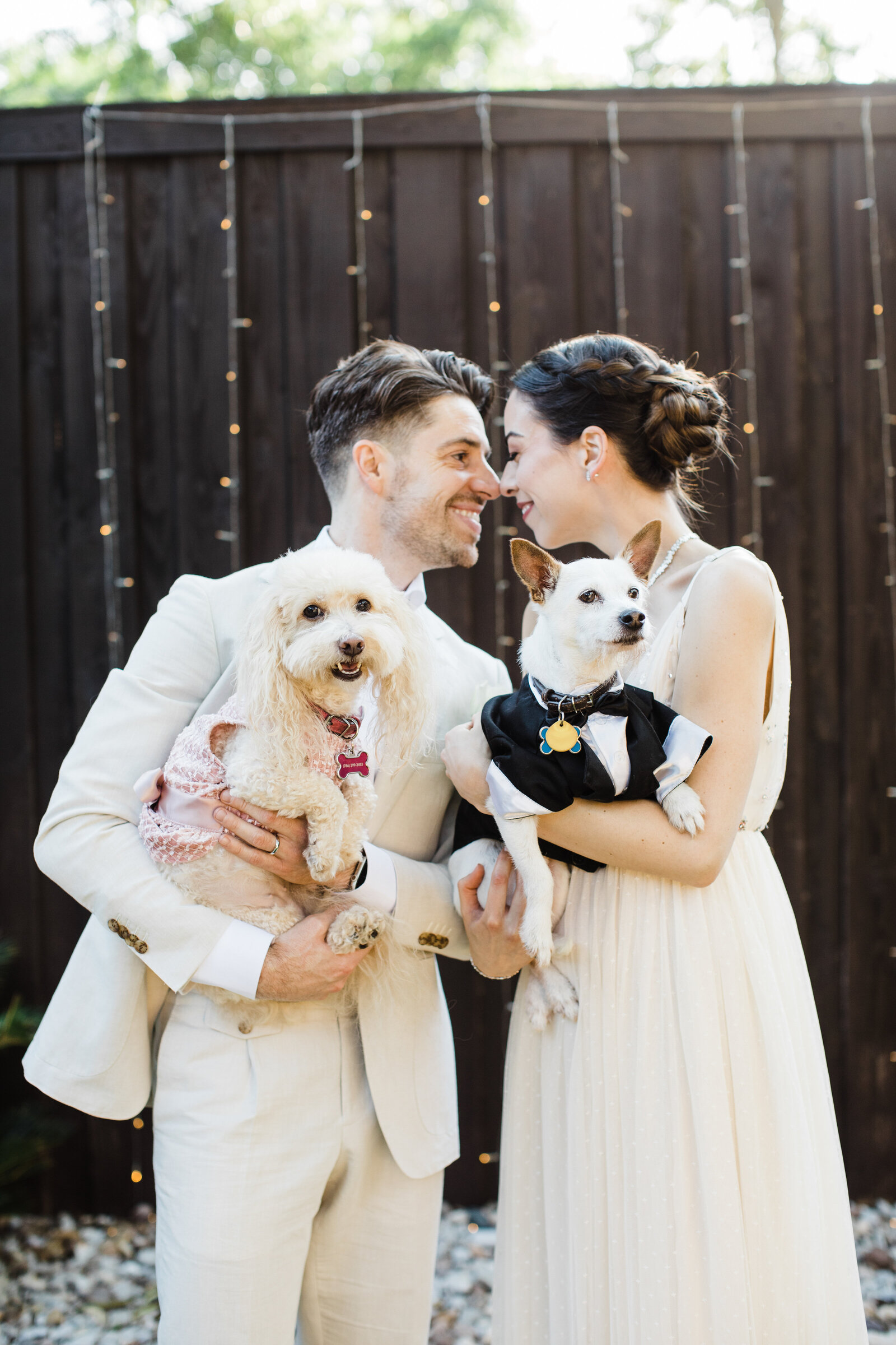 A bride and groom and their two dogs posing together in front of a fence covered in lights. The bride is on the right and is wearing a sleeveless white dress. The little white dog she's holding is wearing a small black tuxedo. The groom is on the left and is wearing a cream colored suit. The small white dog he's holdign is wearing a light pink dress.