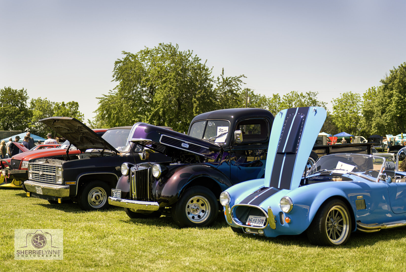 DSC_8070-Car Show copy