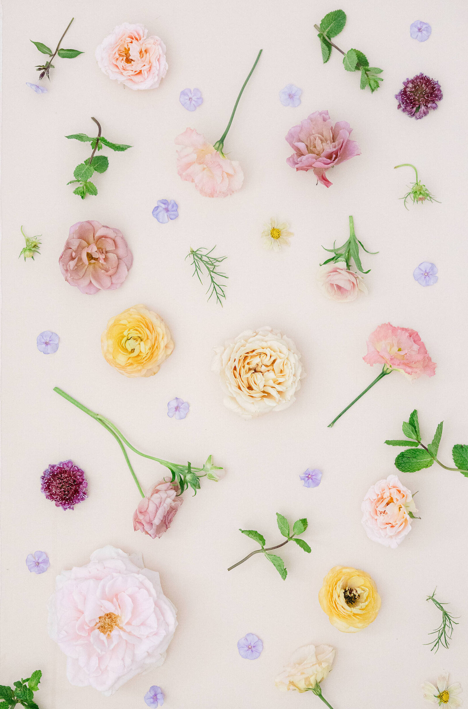 Colorful loose florals flatlay