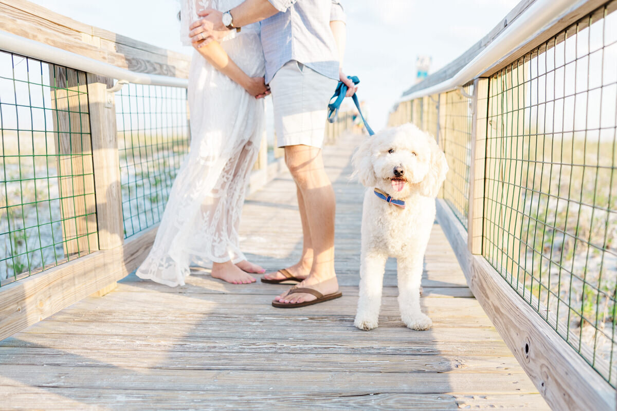 Maternity Photos with puppy dog