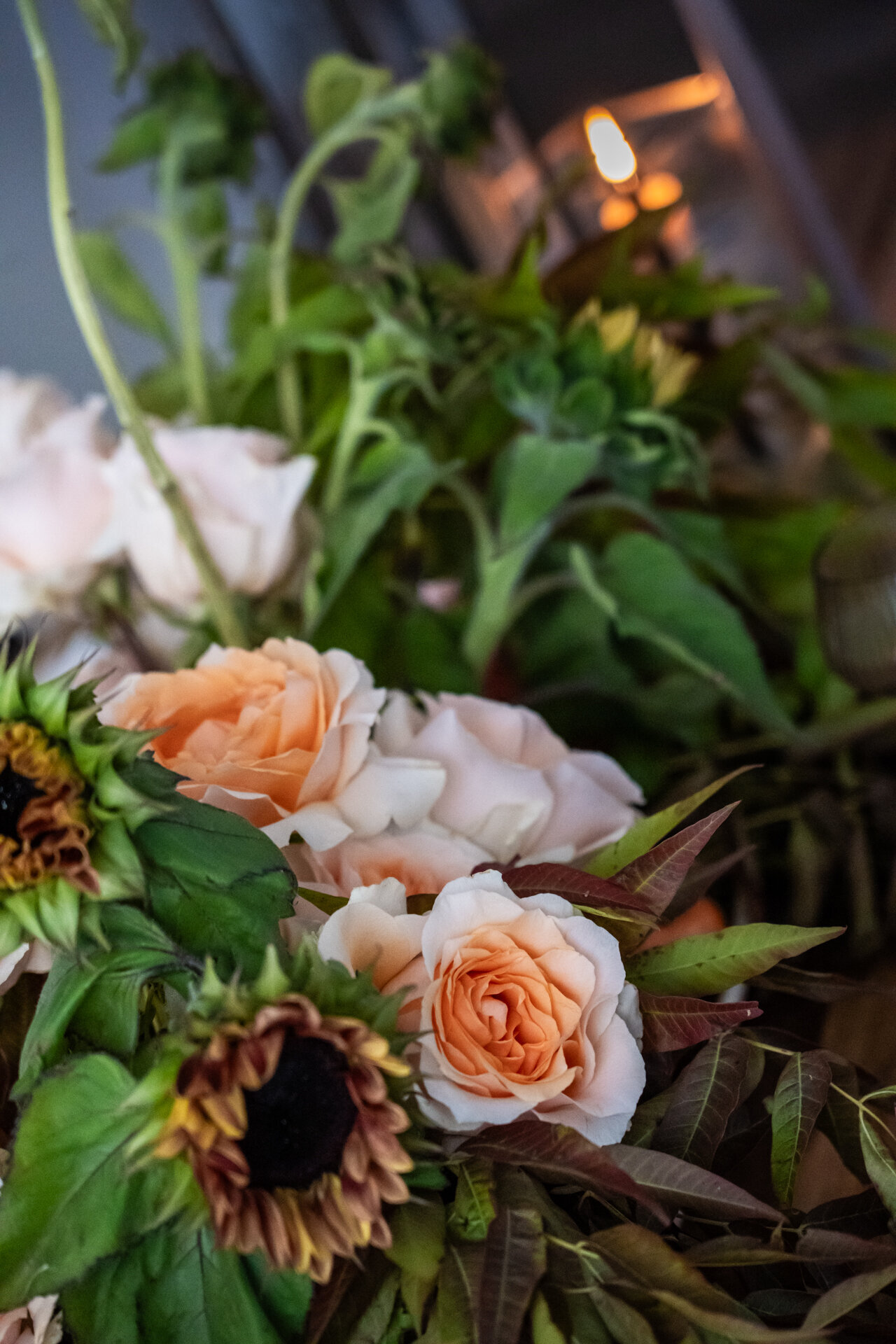 Dewless Bloom_11 11_KT-3