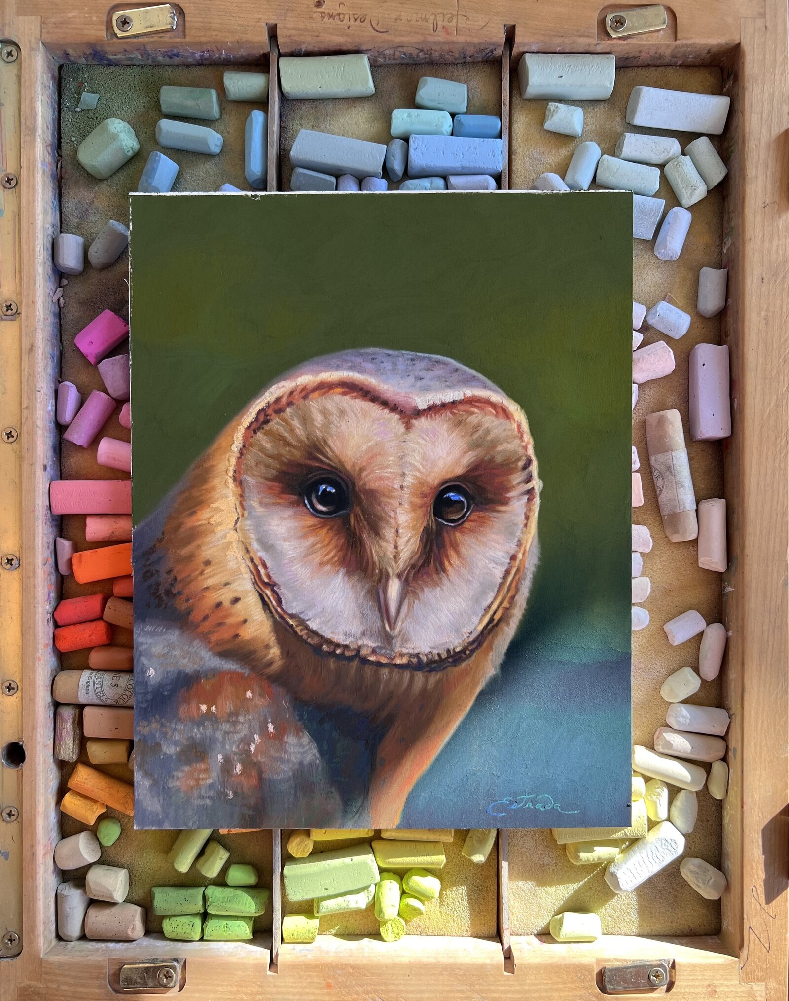 barn-owl-pastels