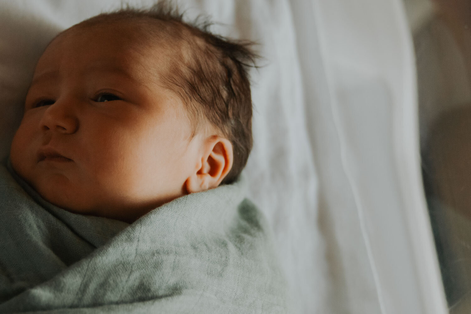 Close-up of a newborn baby swaddled and resting peacefully