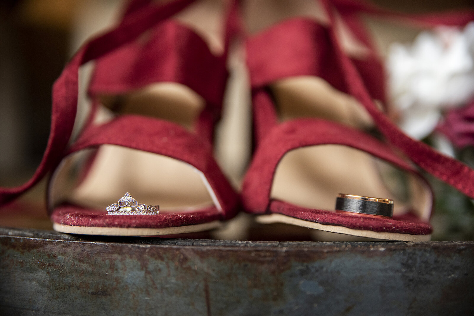OCF Collection 096