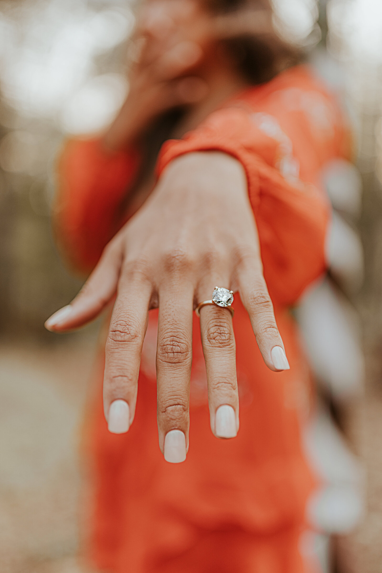 Romantic-Surprise-Proposal-Engagement-Catskills-Love-to-Lens-Photography (18)