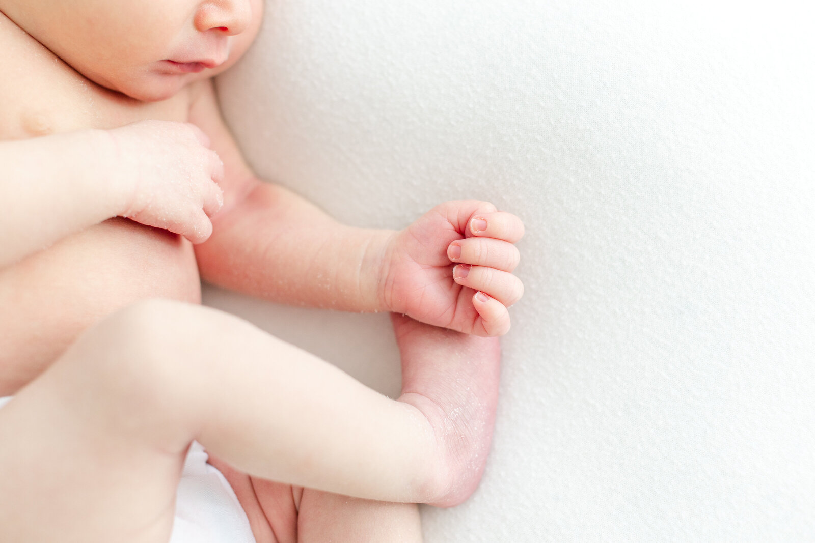 Cranberry Newborn Photographer