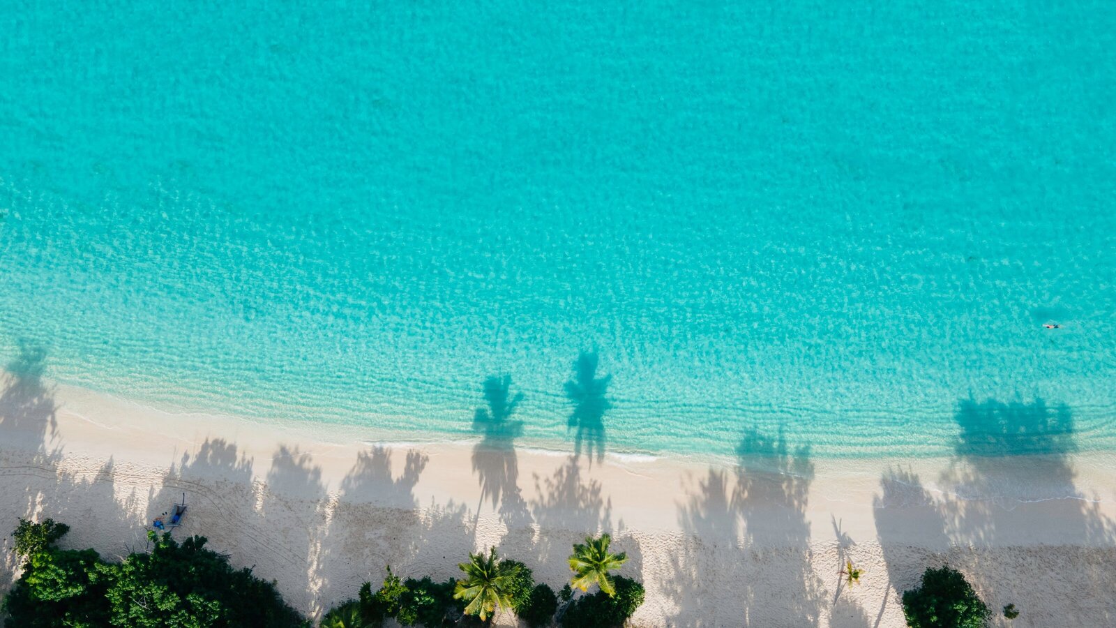 wade-NR6OAMbAYPQ-unsplash (1)