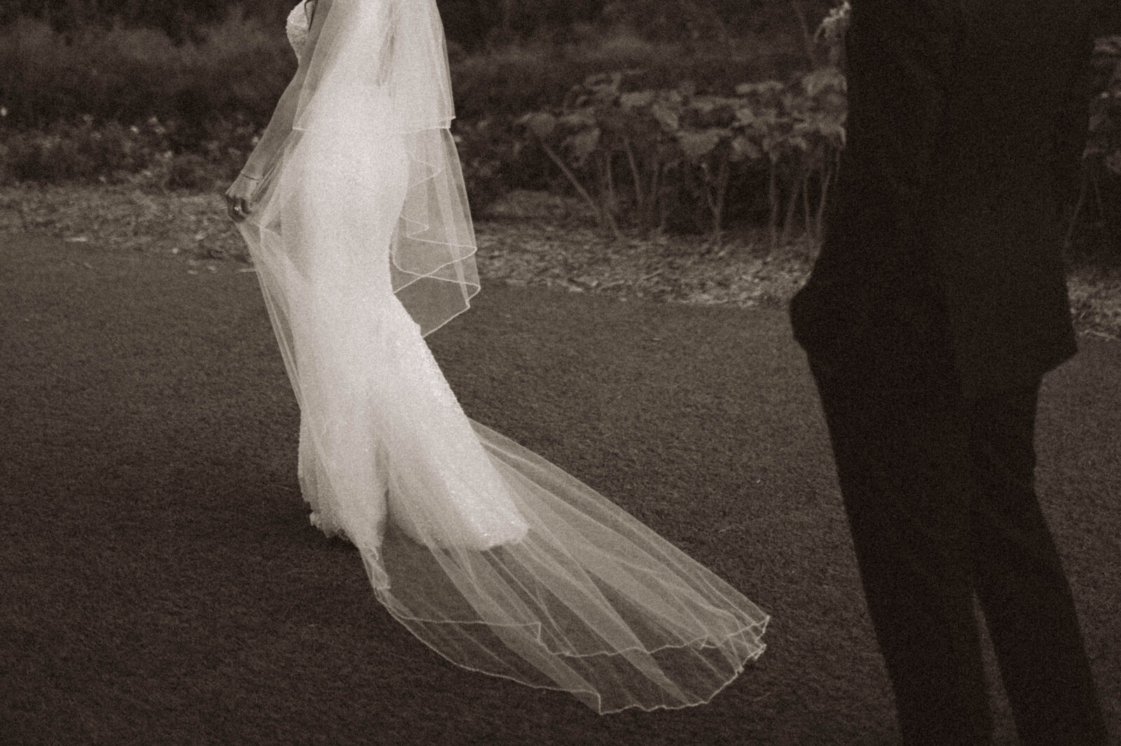 TheWolfesWeddingPreviews-236
