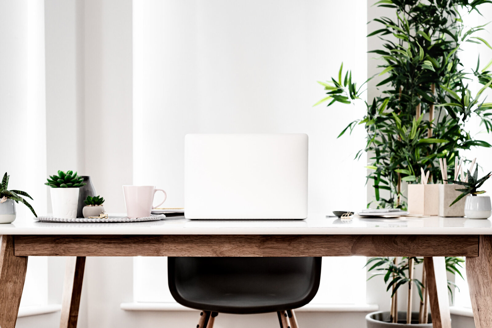 Operate your business with ease. Web design and copywriting for female-founders of lifestyle businesses