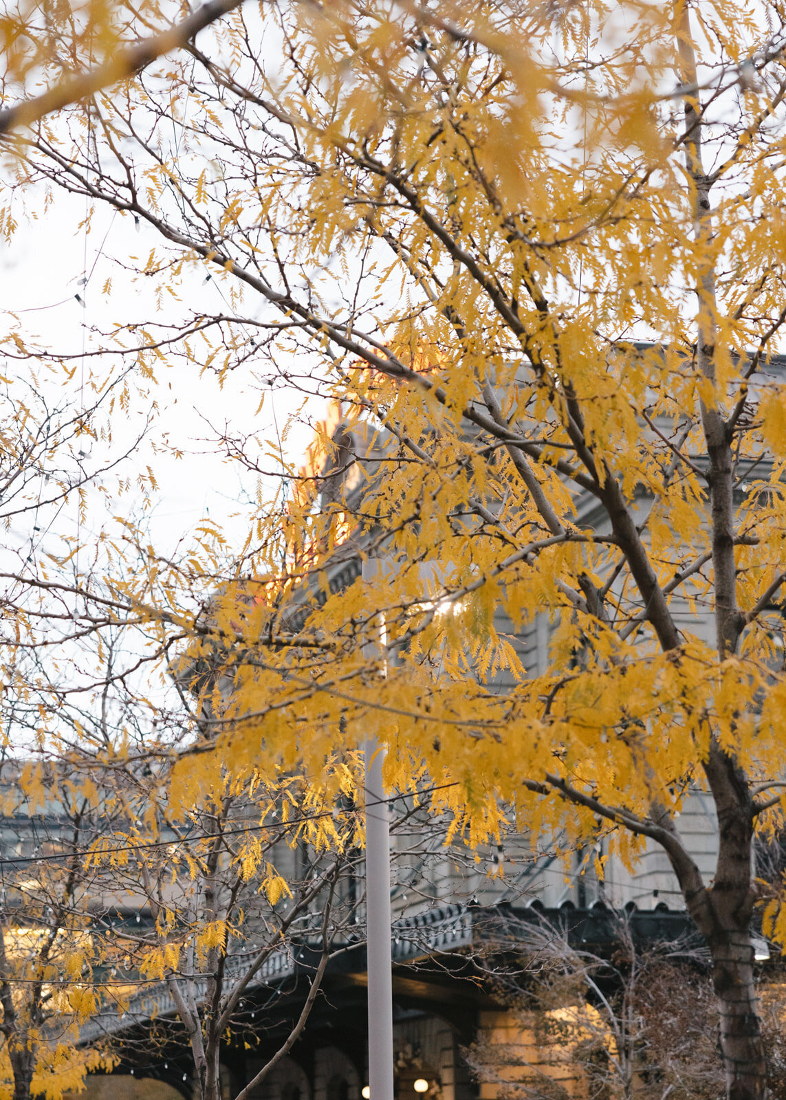 10.30-Amanda-Dom-Downtown-Denver-Engagements-79