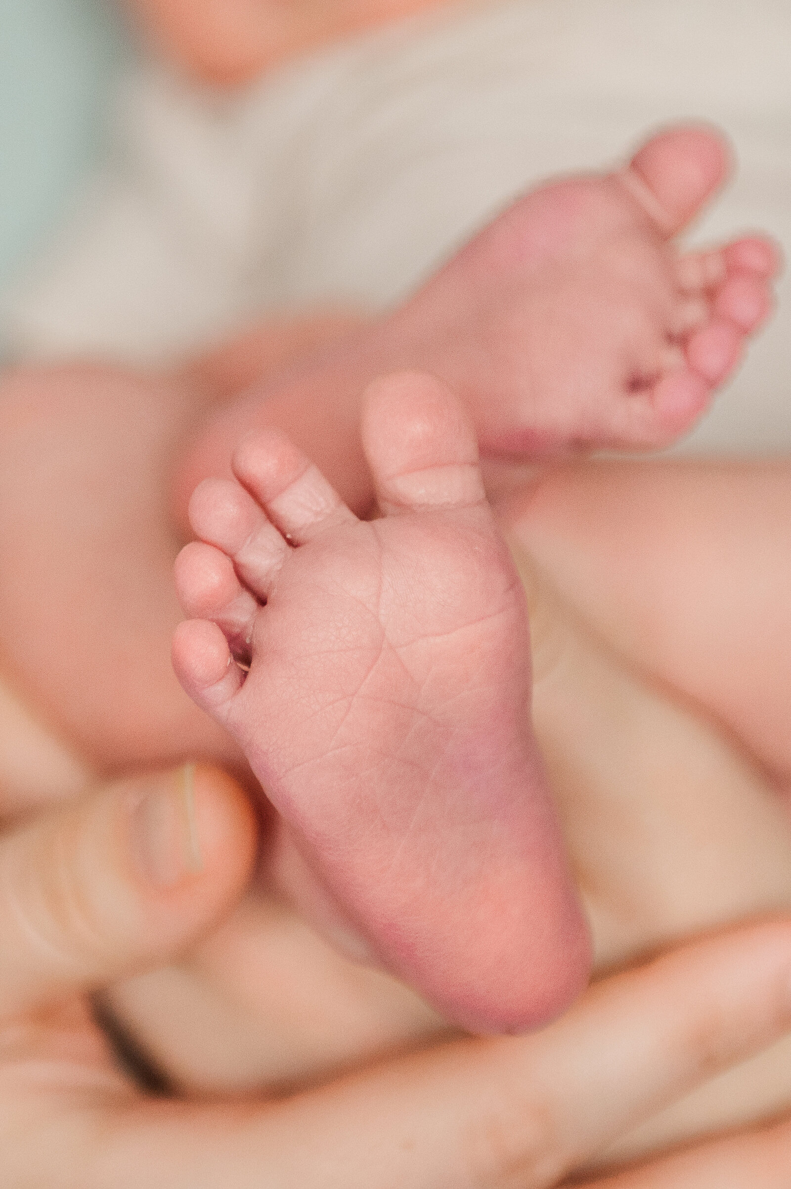 close up of baby newborn feet during session in lancaster pa