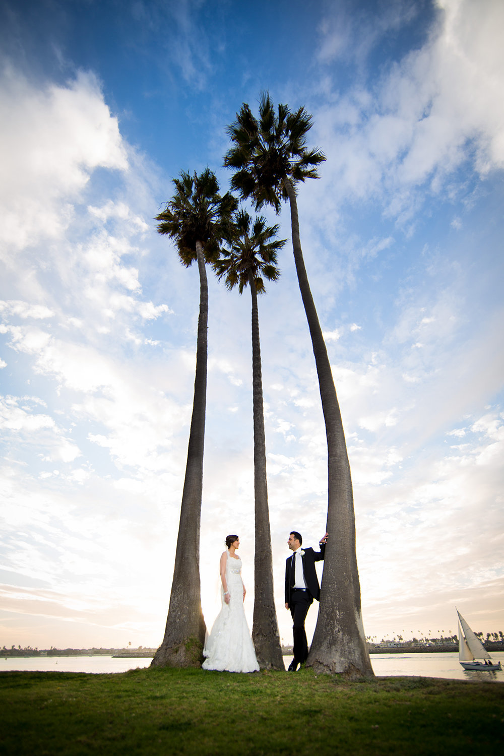 Palm tree sunset wedding portrait