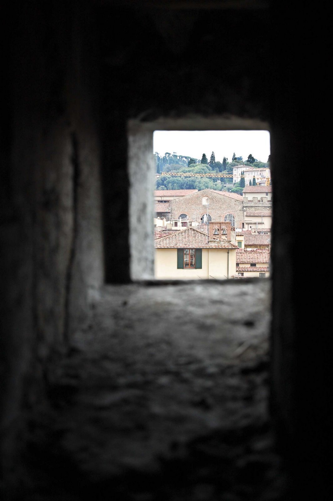 Non Profit Travel Photographer