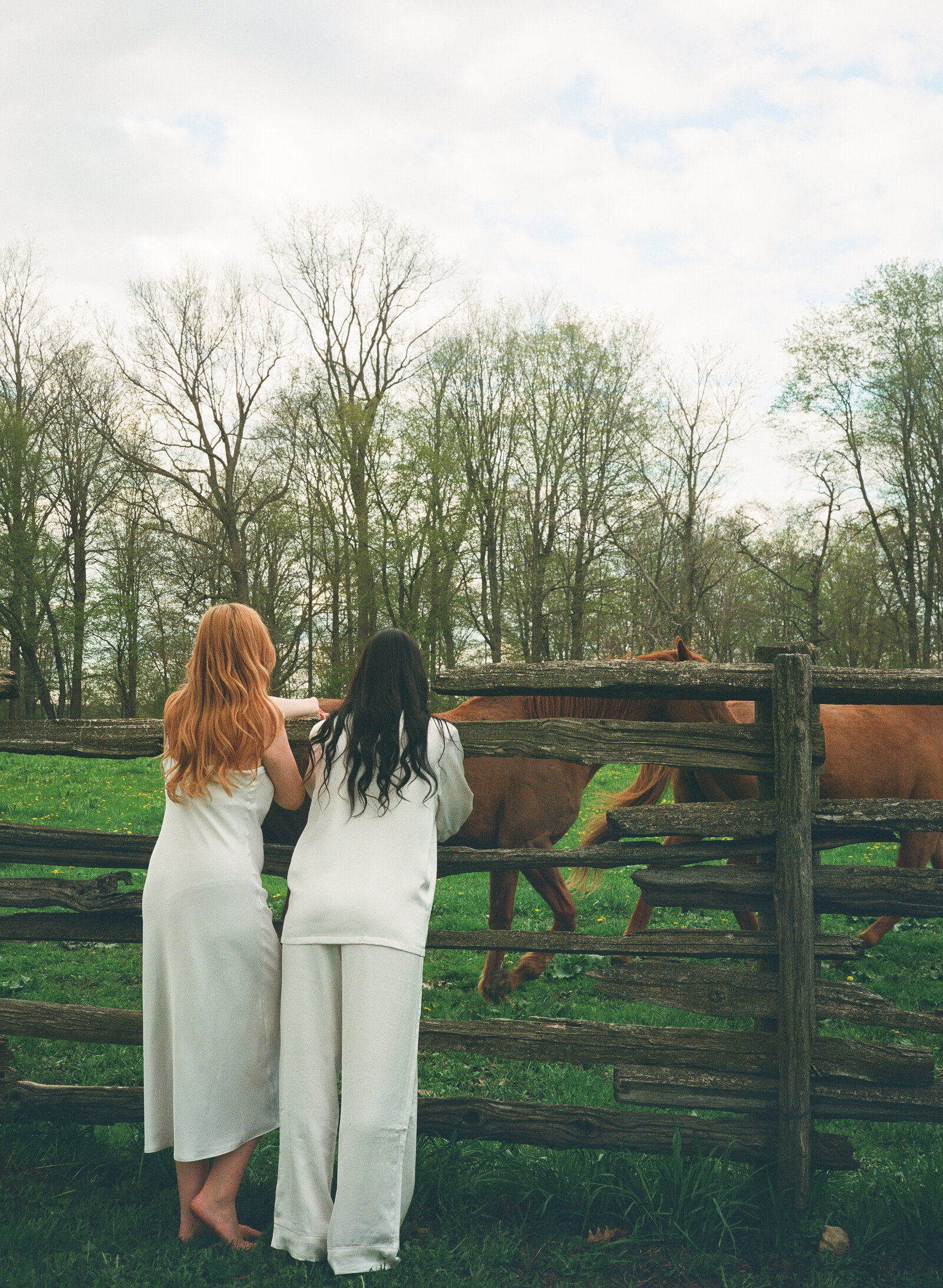 Cruickston Park Wedding on Film - Lance Photography 62