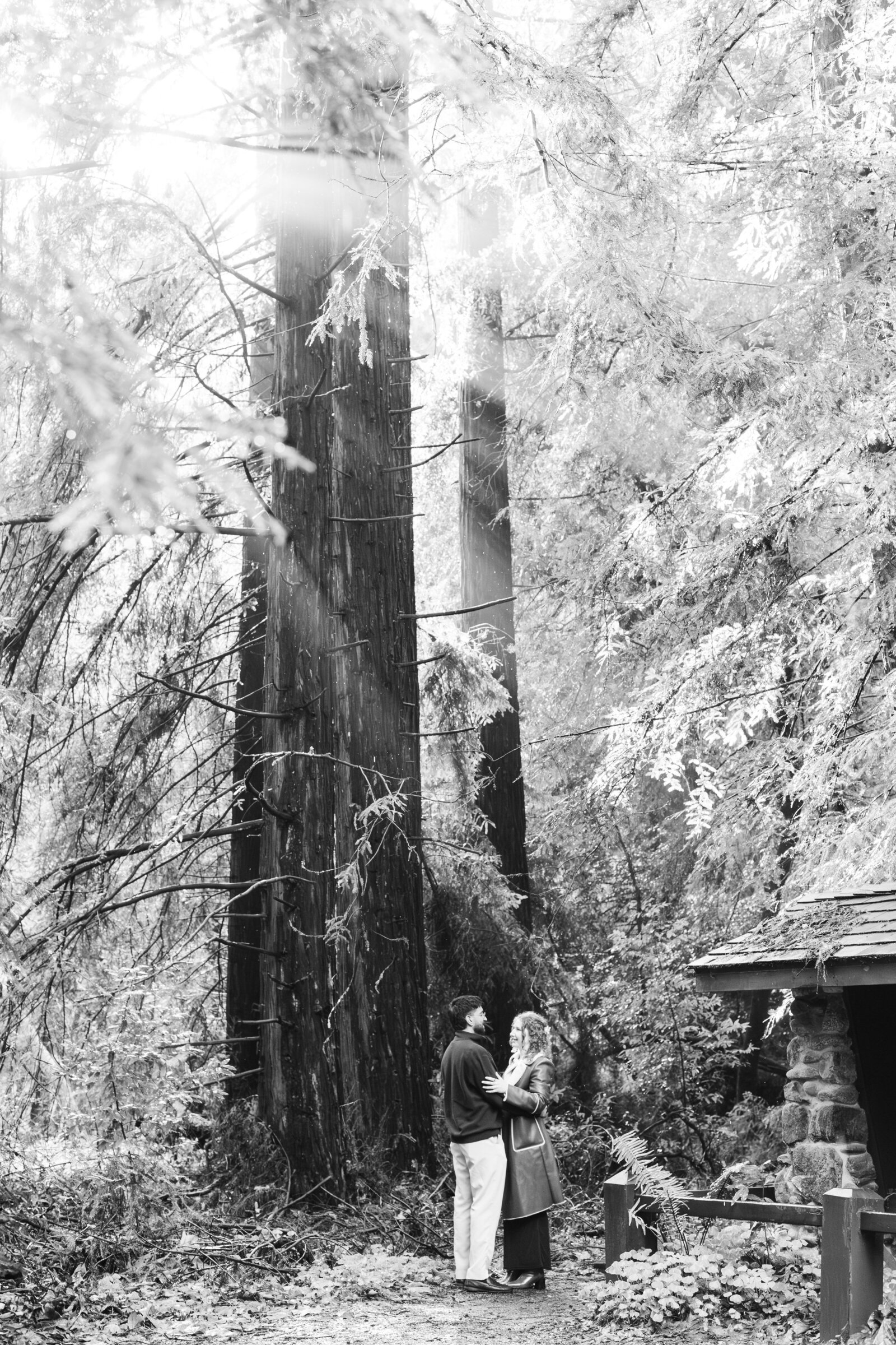 Big Sur Proposal Manjanatha-46