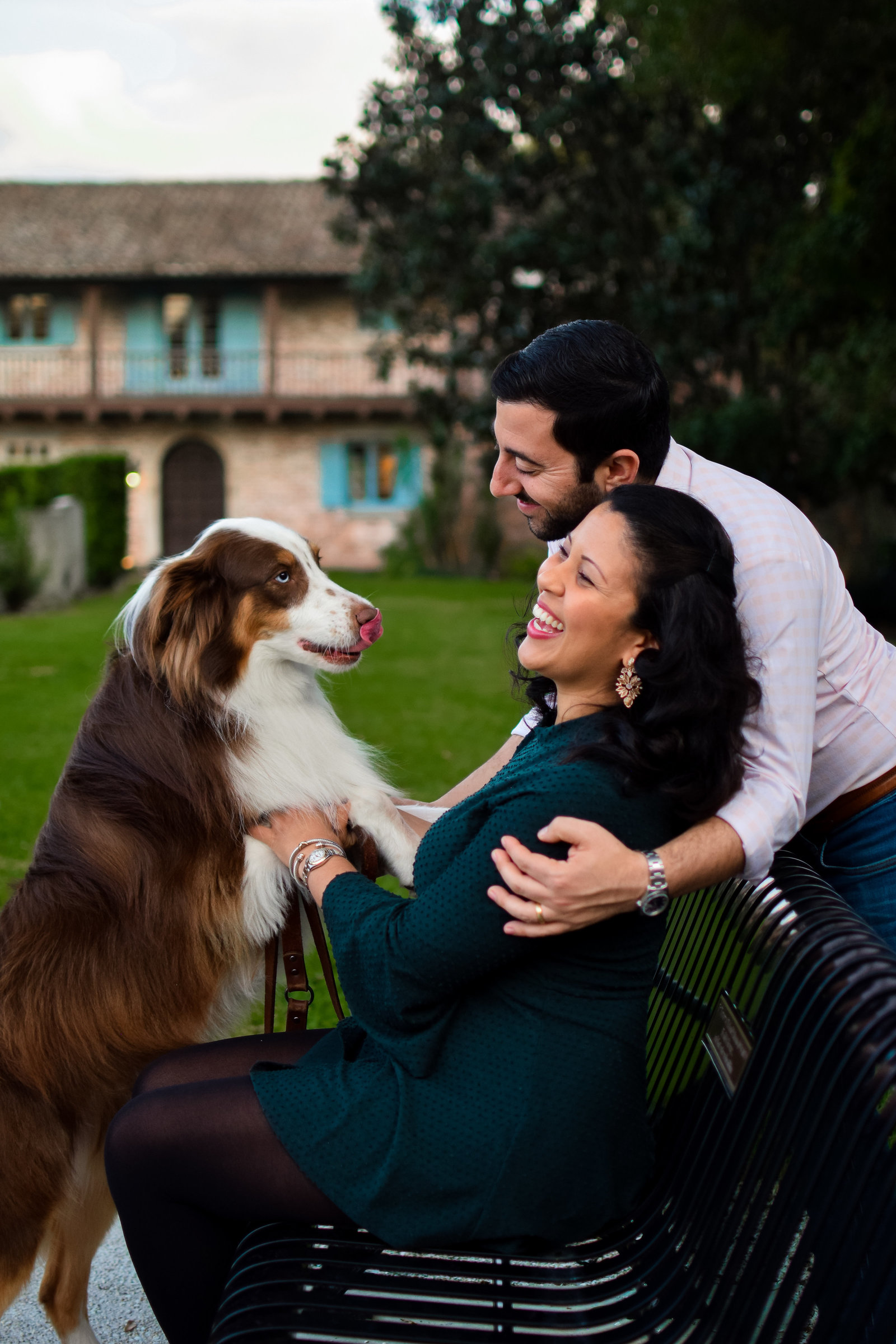 Australian Shepherd Casa Feliz Maternity Winter Park Florida