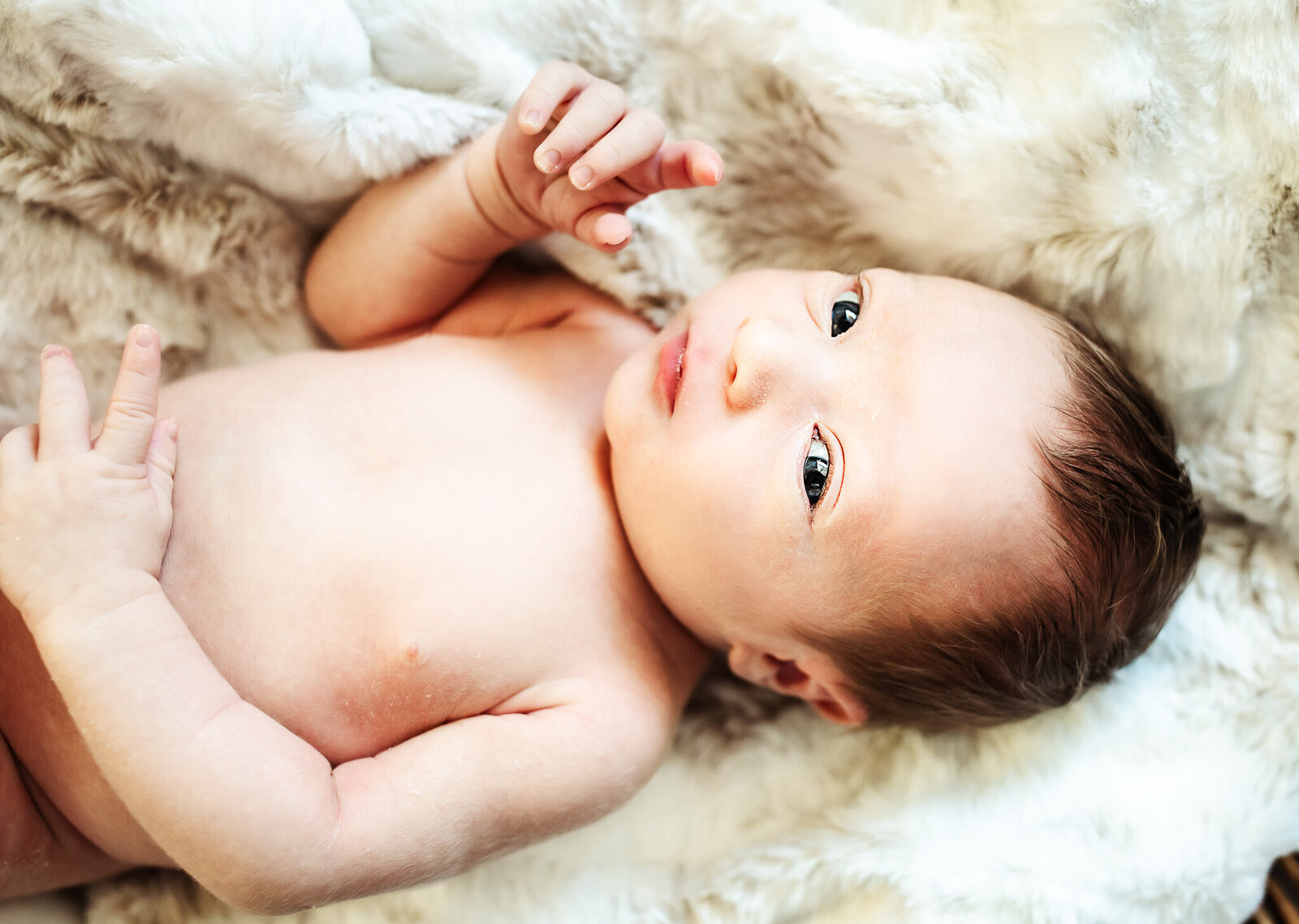 bay-area-newborn-photographer-2