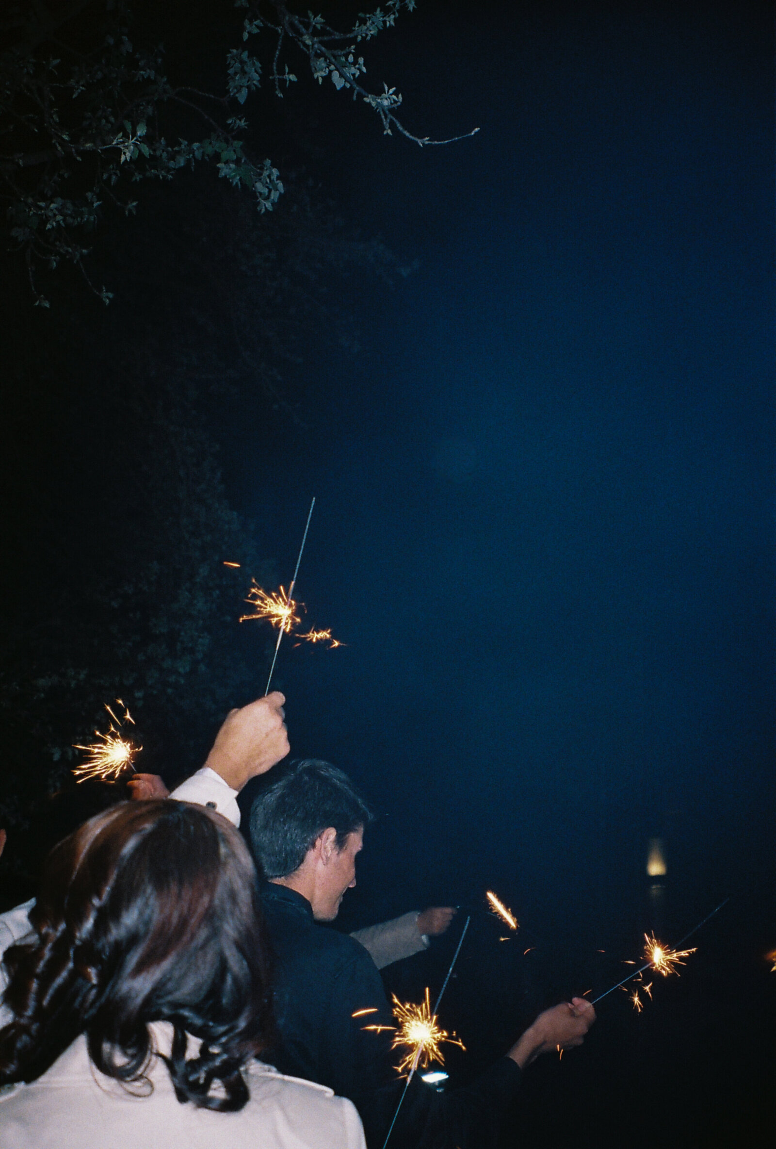 Film x Ashleigh Haase Photography-60