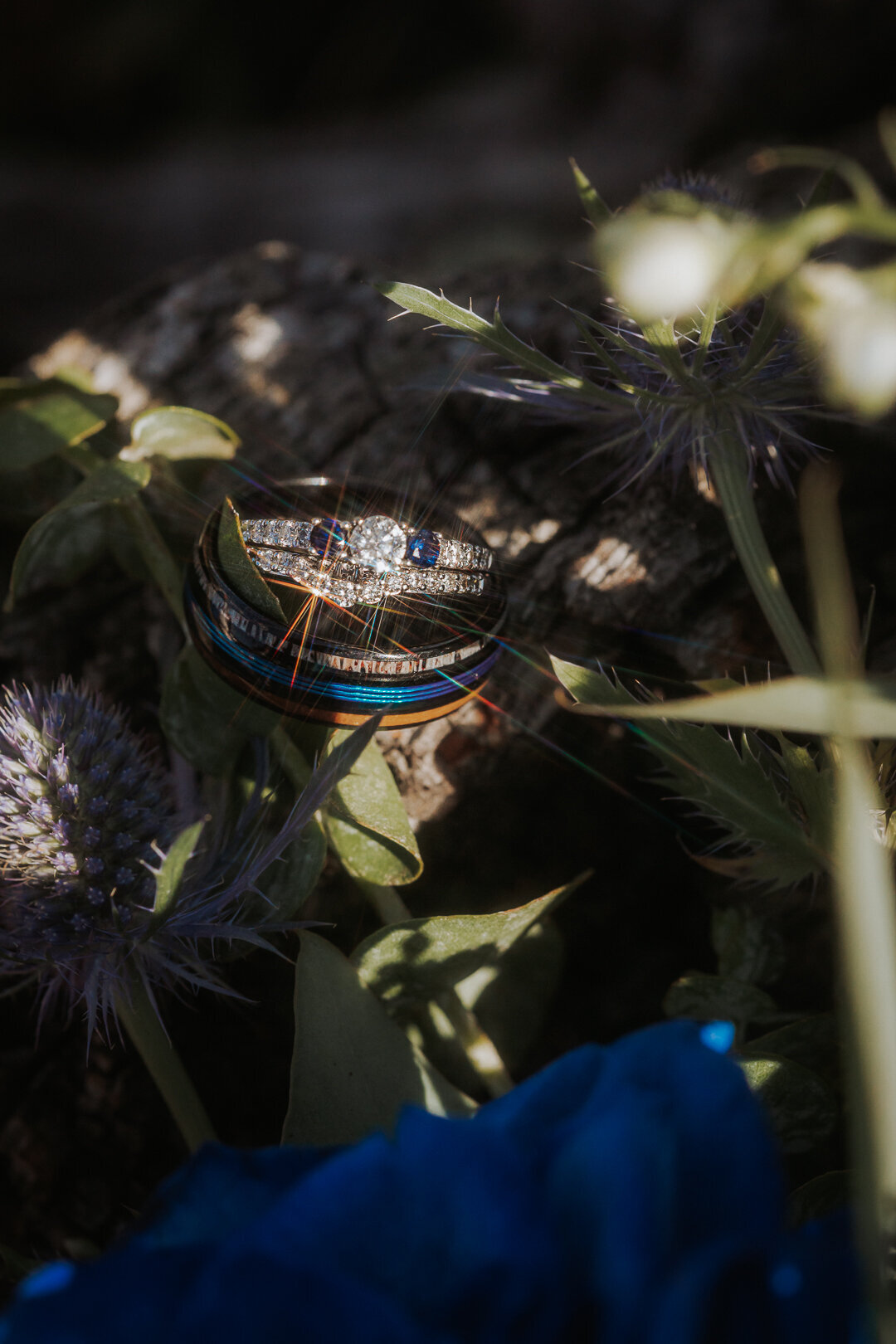 Bree + Cody Wed-240817-007