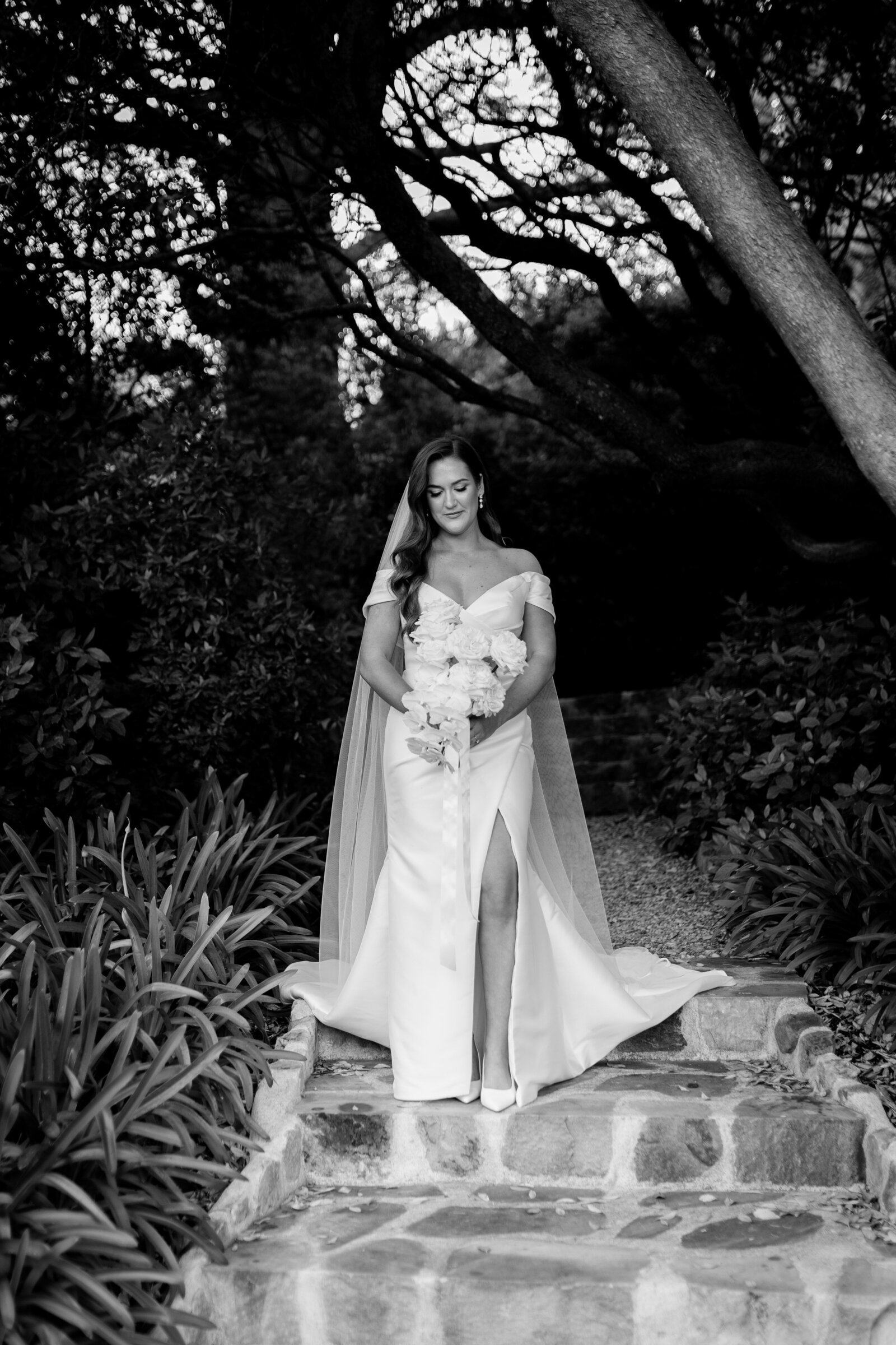 241123-Mikaela-Nathan-Rexvil-Photography-Adelaide-Wedding-Photographer-278