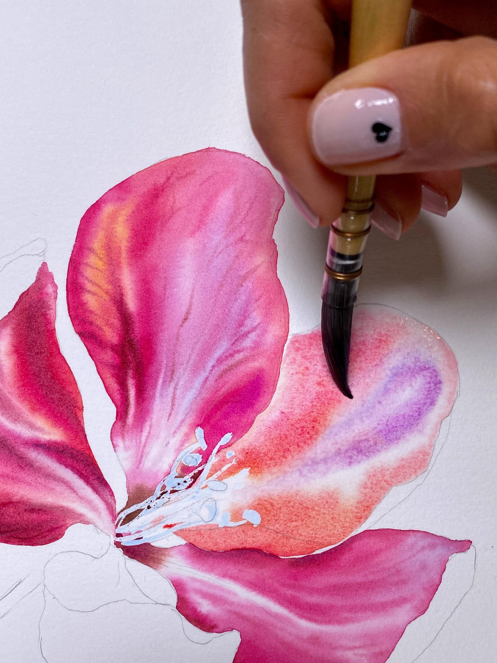 watercolor-flower-petal (1)