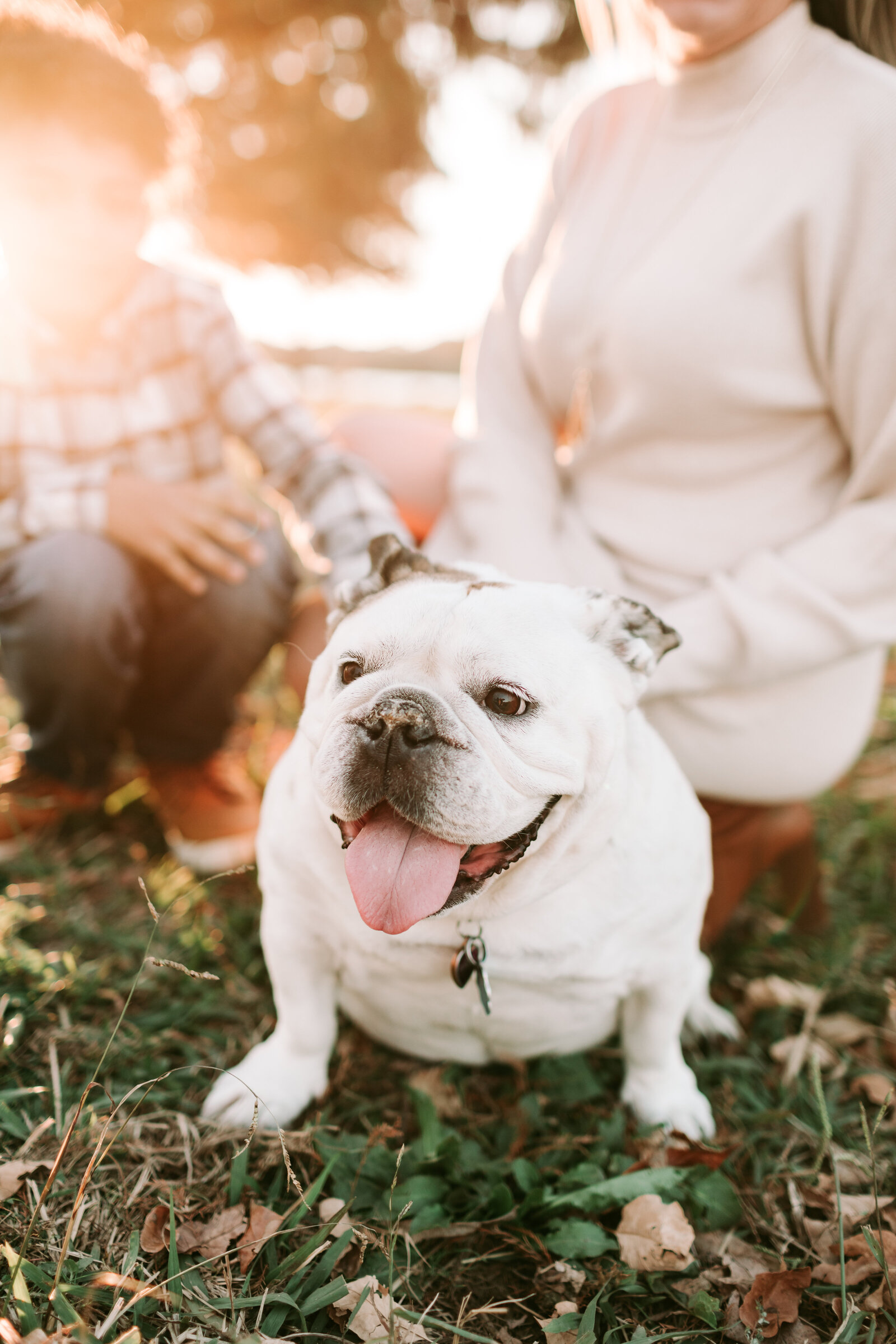 dallas family photographer