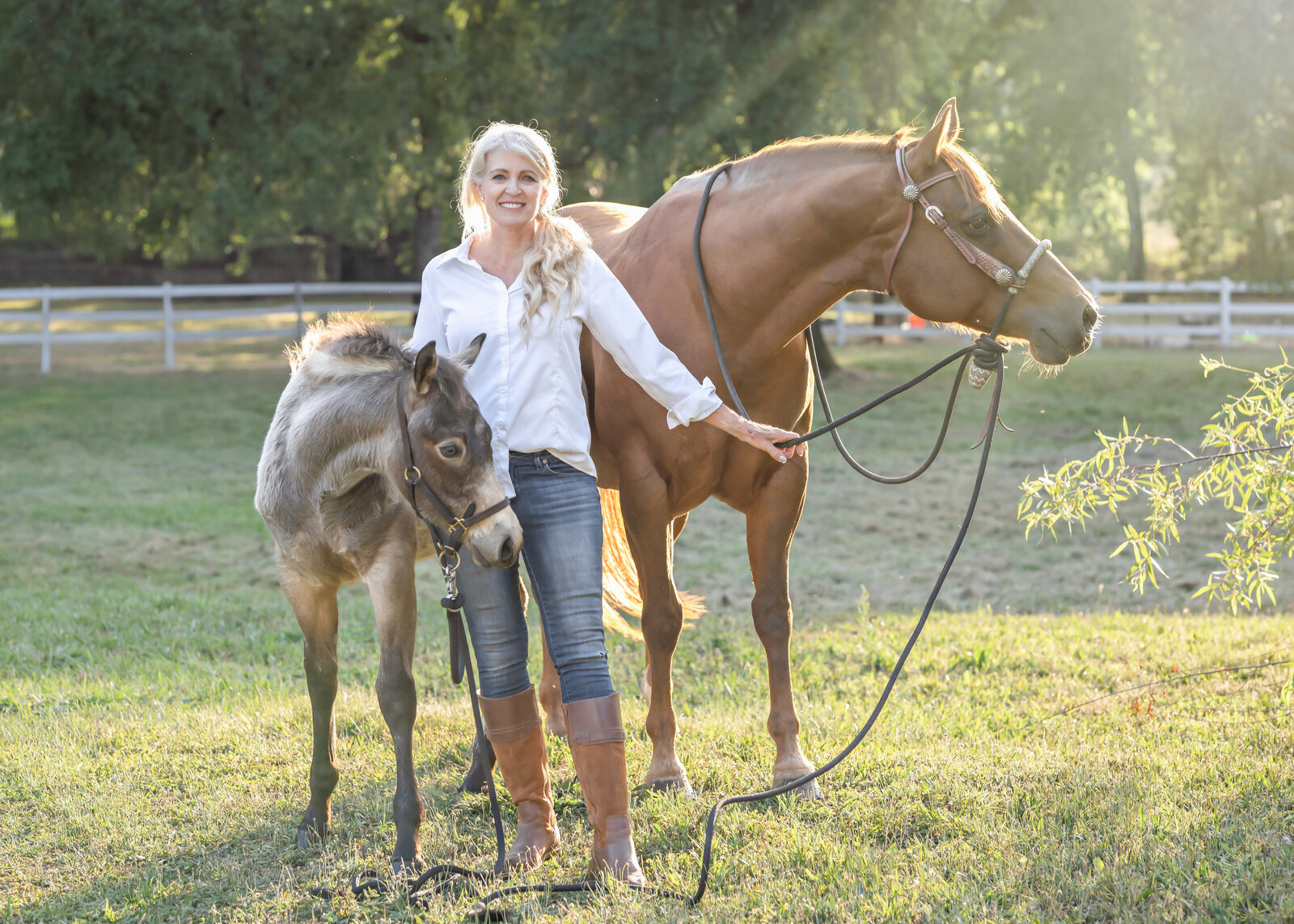 Northern California Equine Portraits
