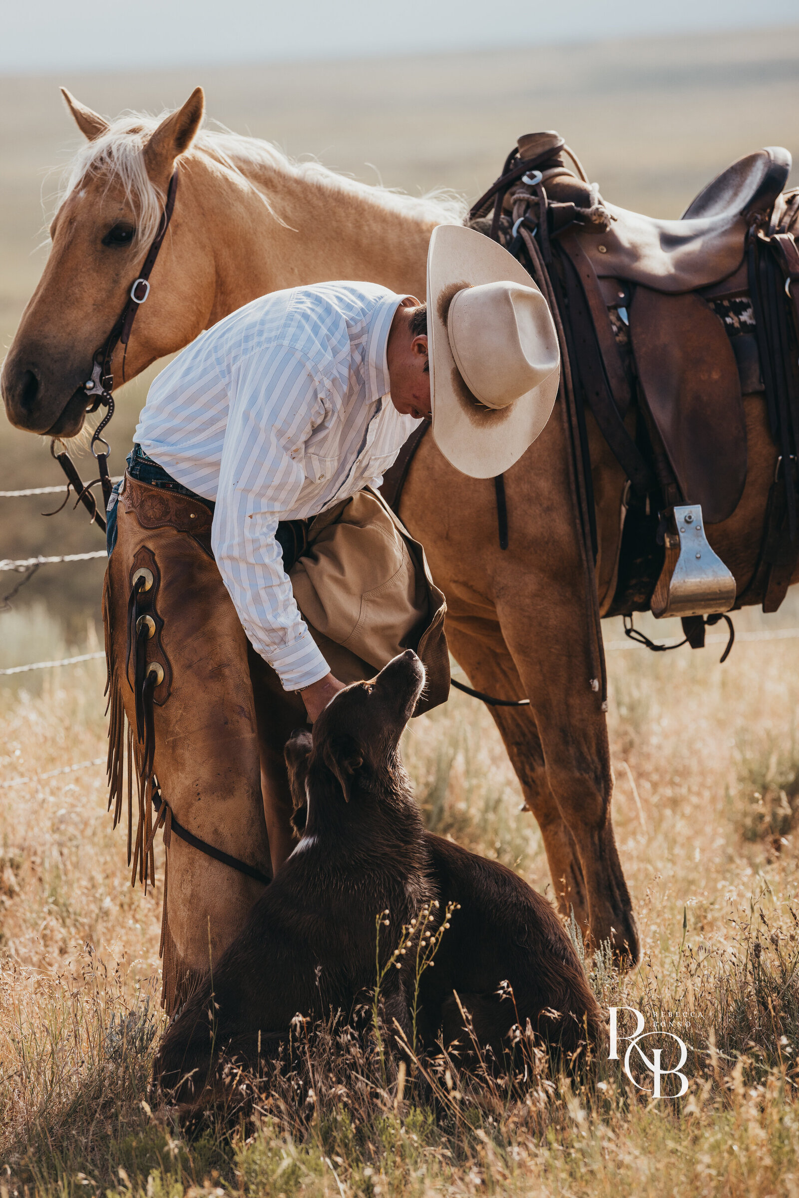 202507_dryhead _ranch_RBonno-100
