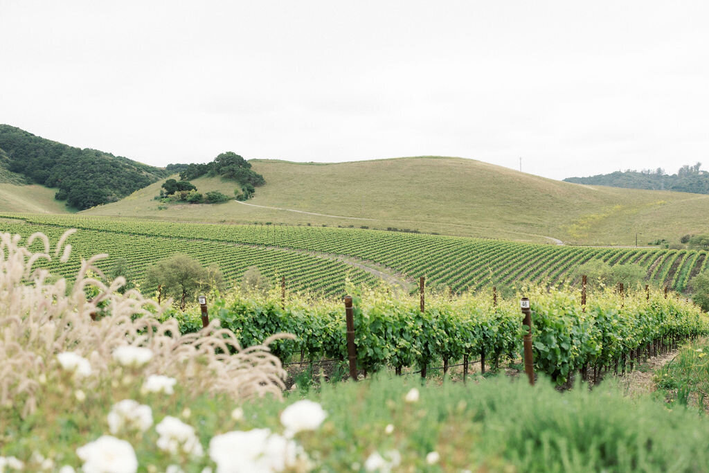 Greengate-Ranch-and-Vineyard-Wedding-San-Luis-Obispo-Ashley-Rae-Studio-Patag-2024-108