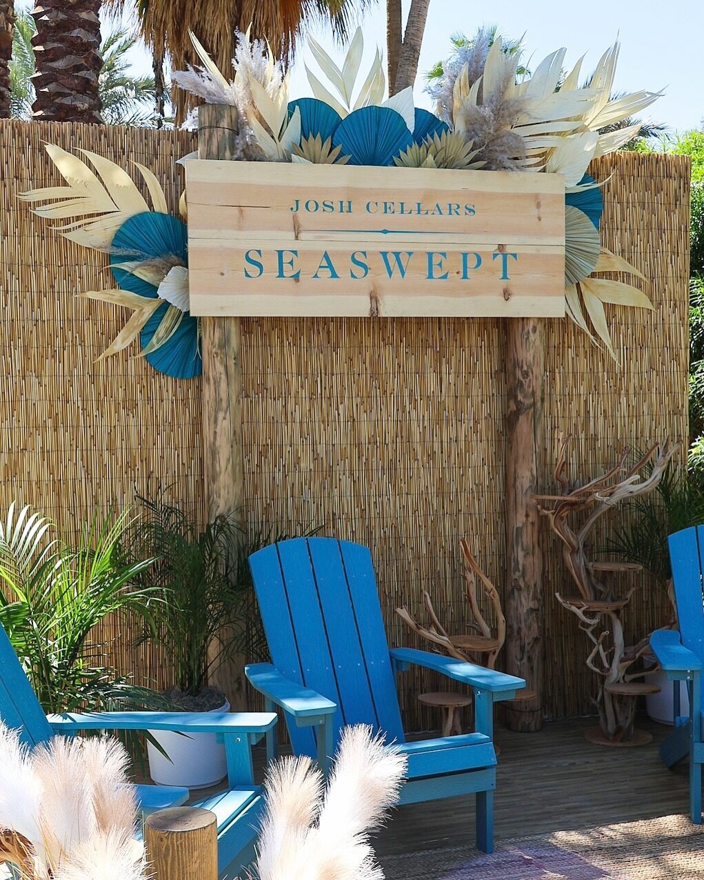 490064534_17964893852899893_7178203892381802914_n