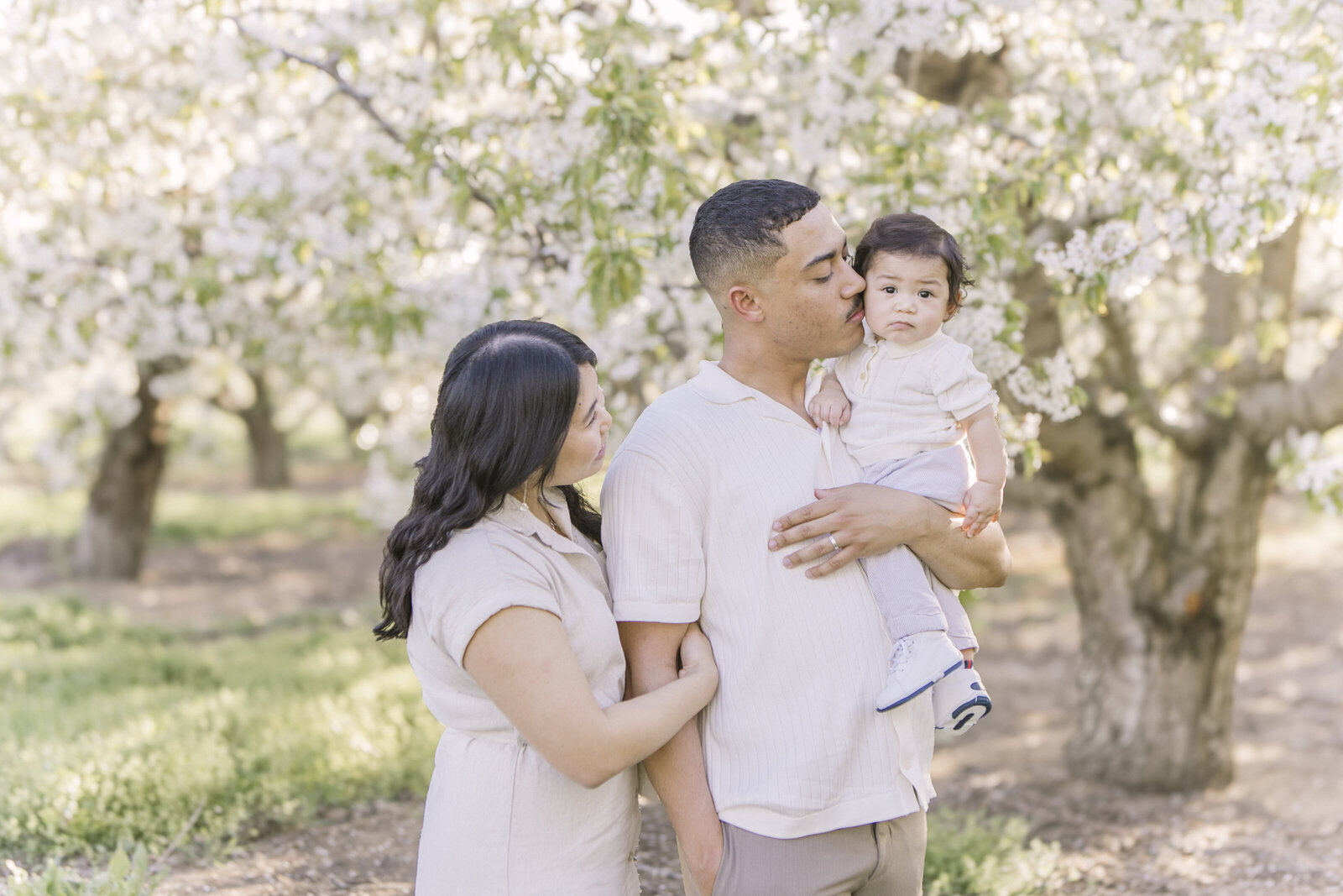 Boise Idaho Spring Orchard Blossom Mini Sessions