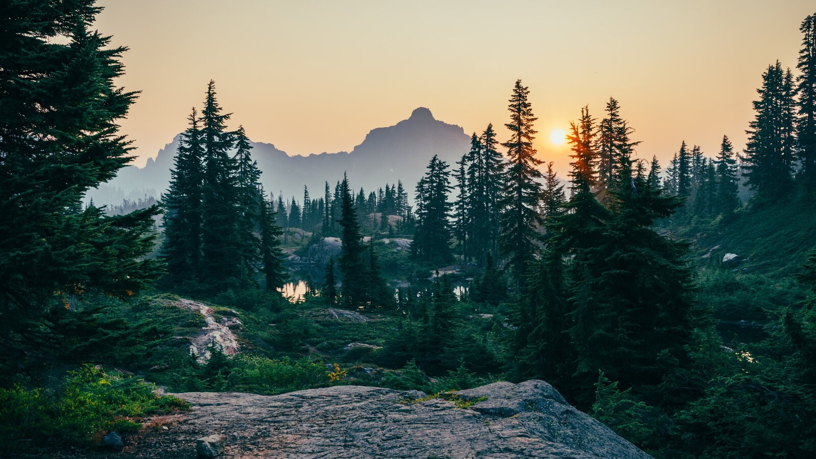 Mountain with pine trees amidst a sunset