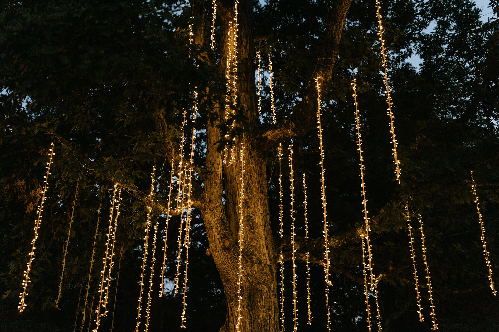 Greenwood-Oaks-Wedding-Photographer-Radiant-Mountain-Media-122