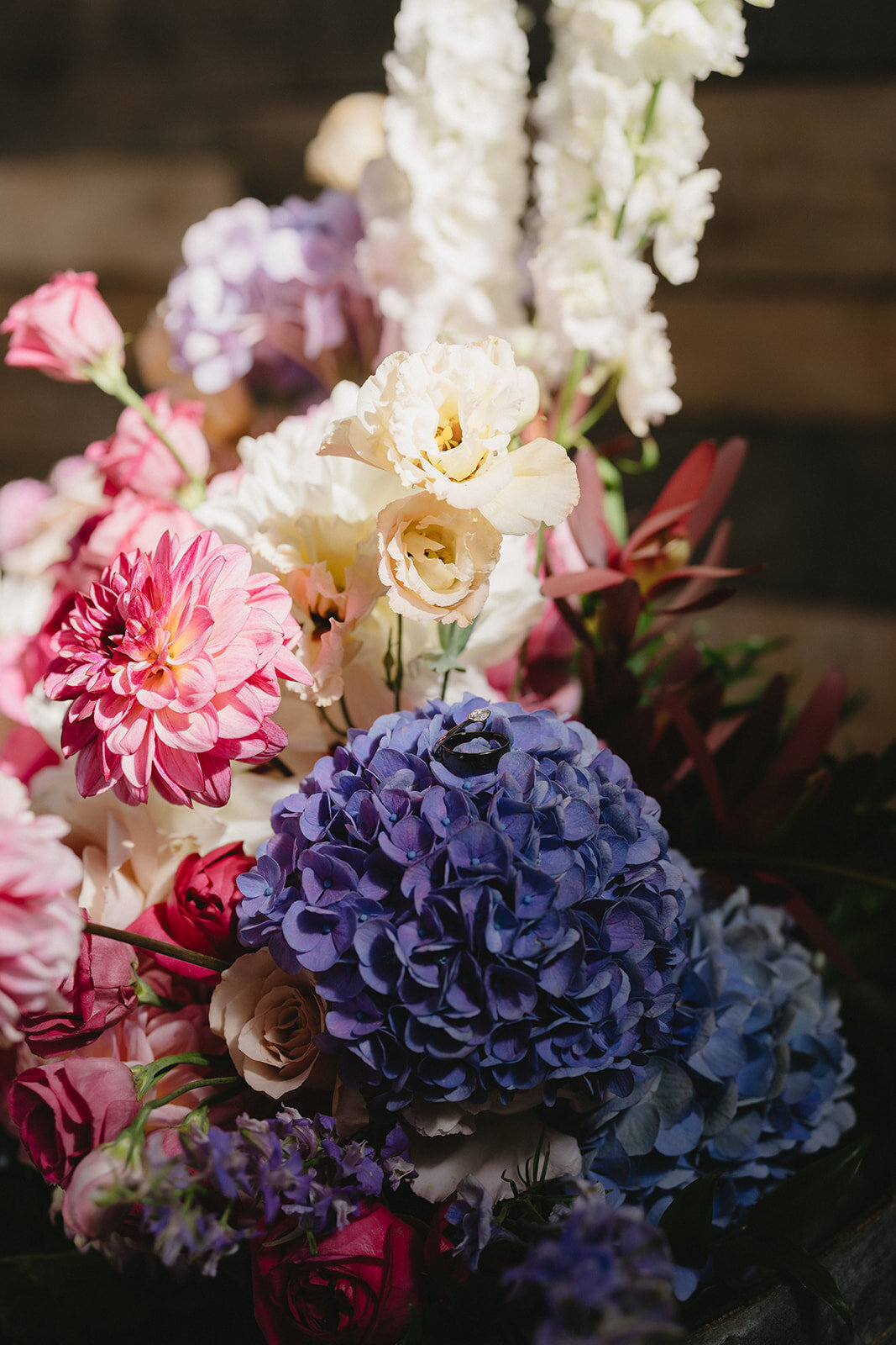 Ben Lomond Lavender Farm Wedding