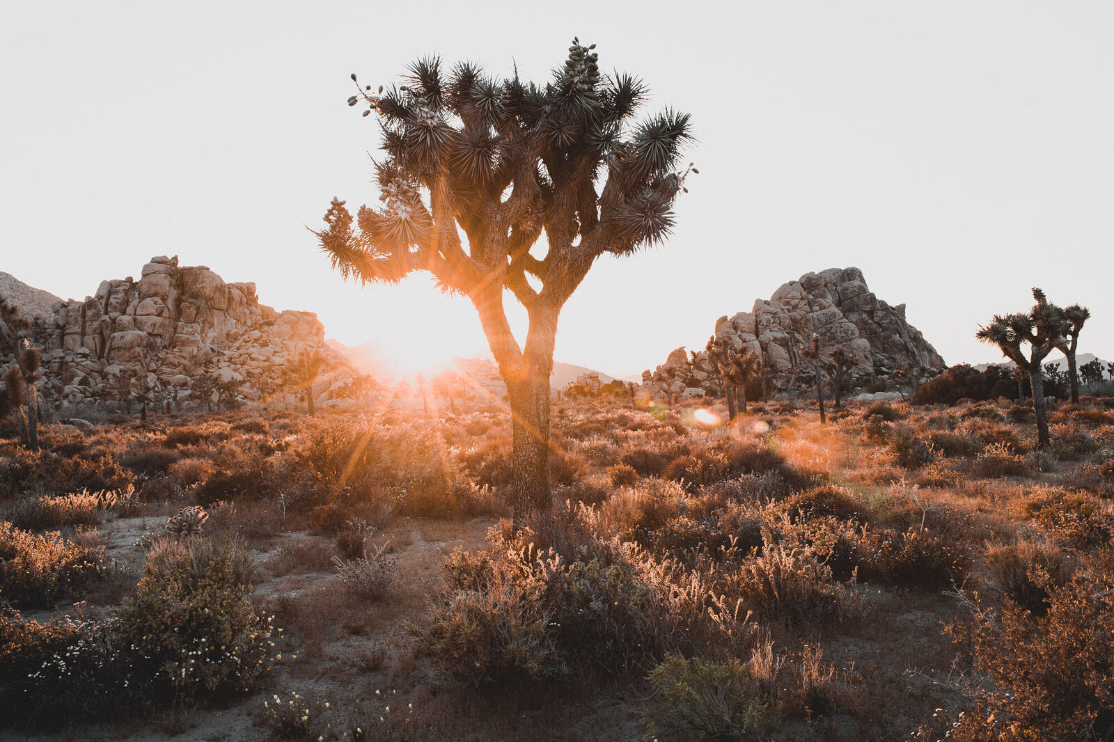 cedric-letsch-6bc05Gt19ek-unsplash