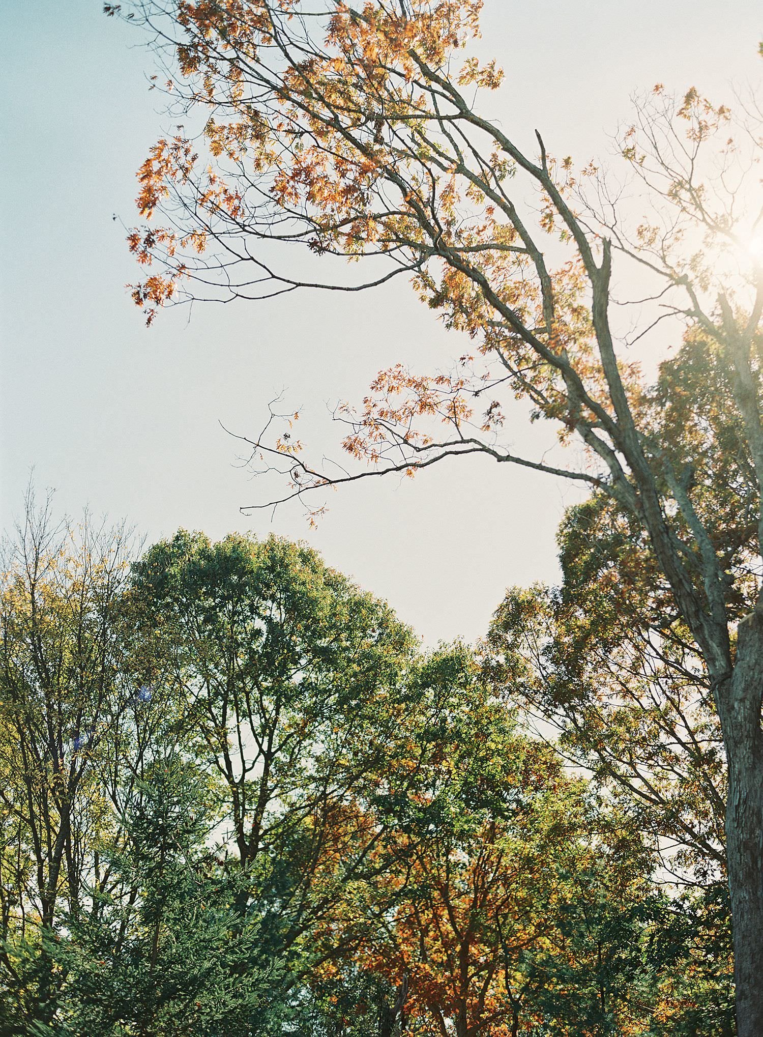 romantic_fall_saybrook_point_inn_and_spa_wedding_0001