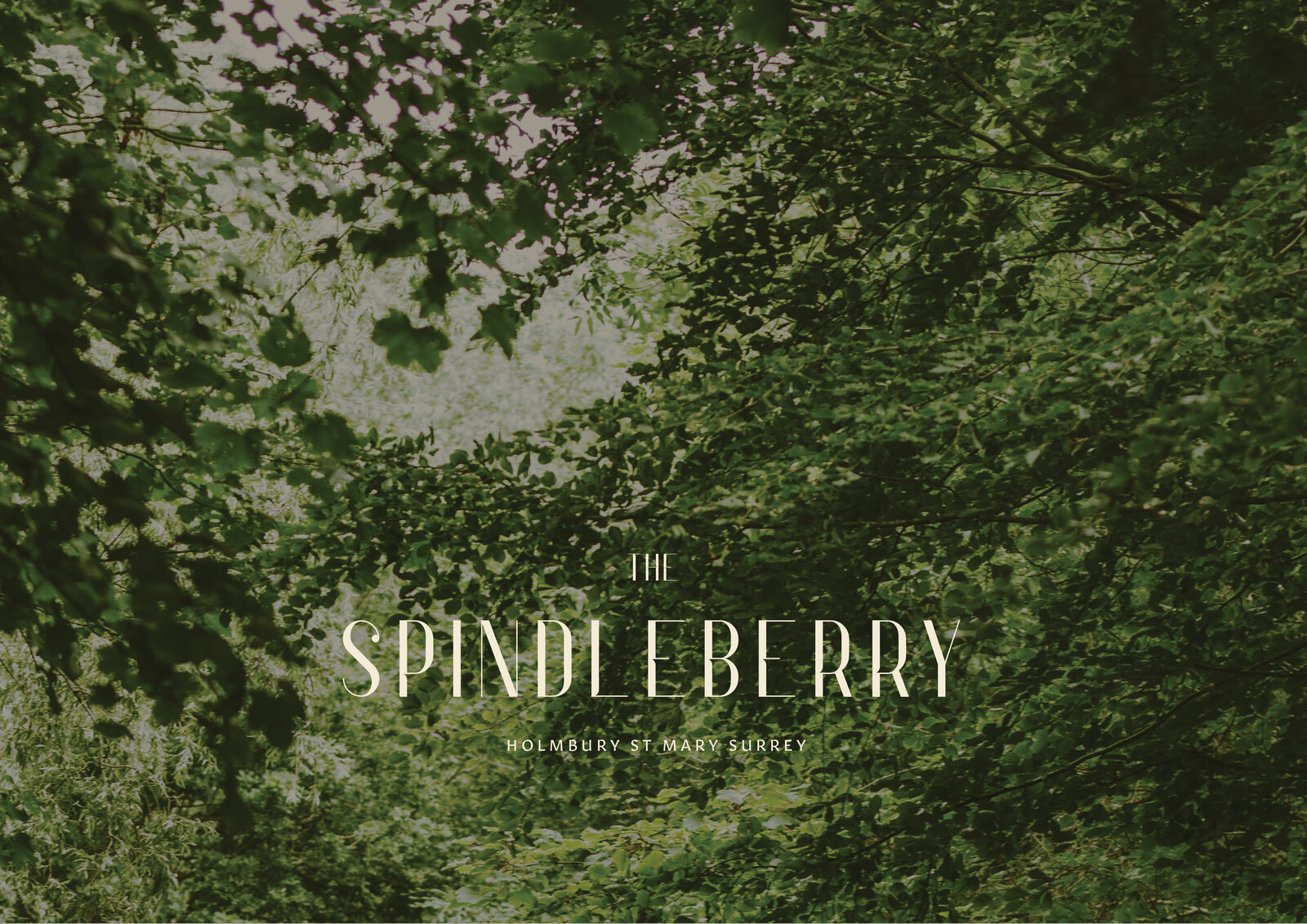 Spindleberry Main Logo 2