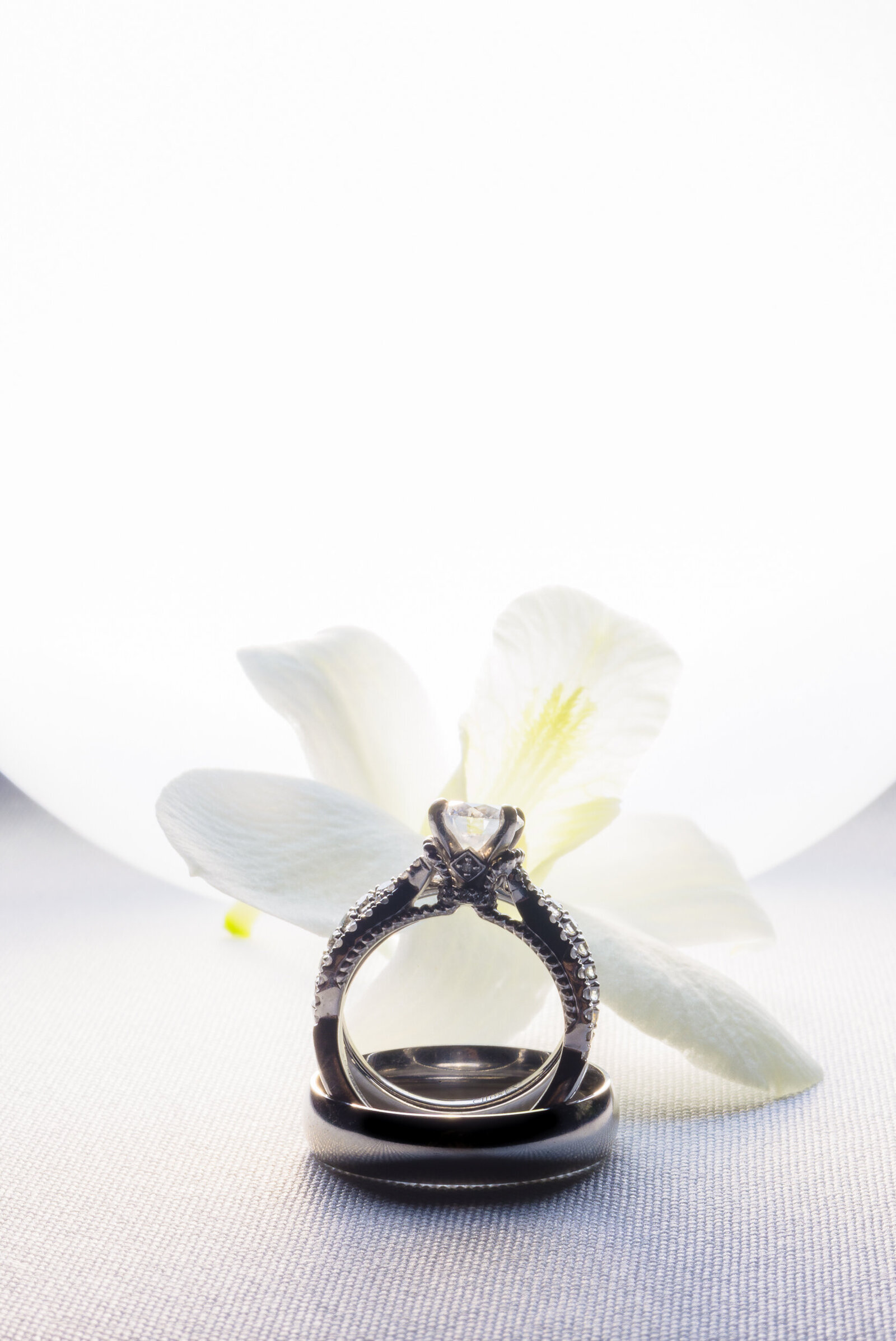 Brooke + Justin 4.6.24 - Tampa Bay Watch - alt Photography + films - 2500-290