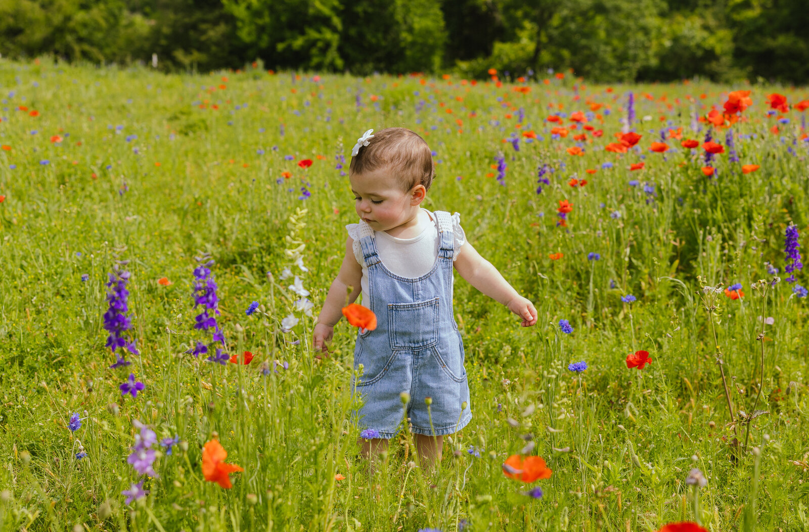 Nora Wildflowers (30 of 43)