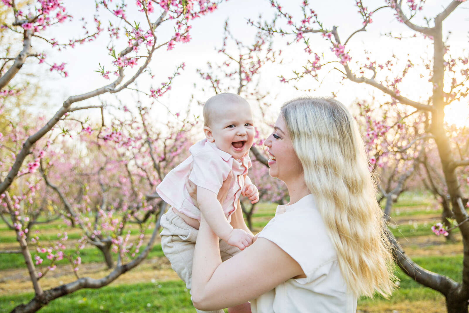 mom and smiling baby in cherry blossoms at sunset in Niagara