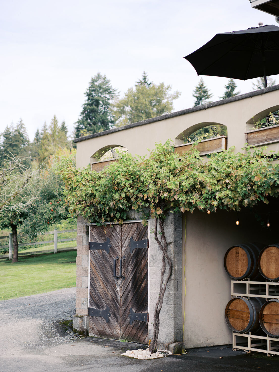 Winery exterior with rustic wooden doors