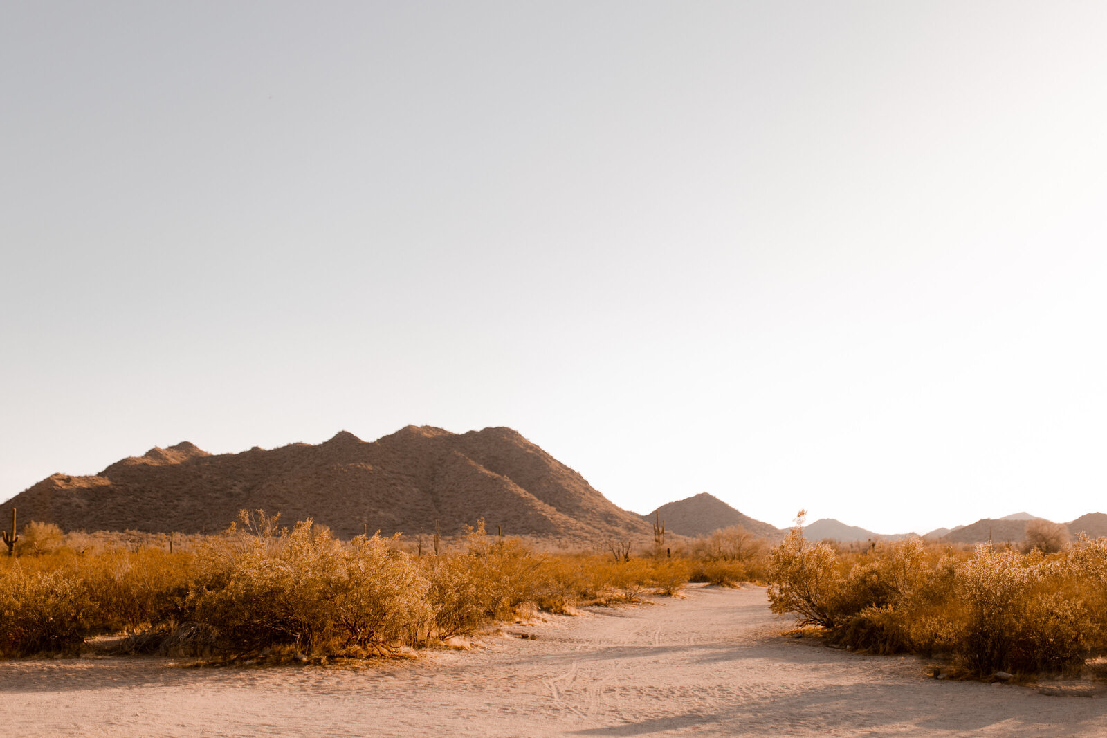 san tan mountain trailhead  arizona