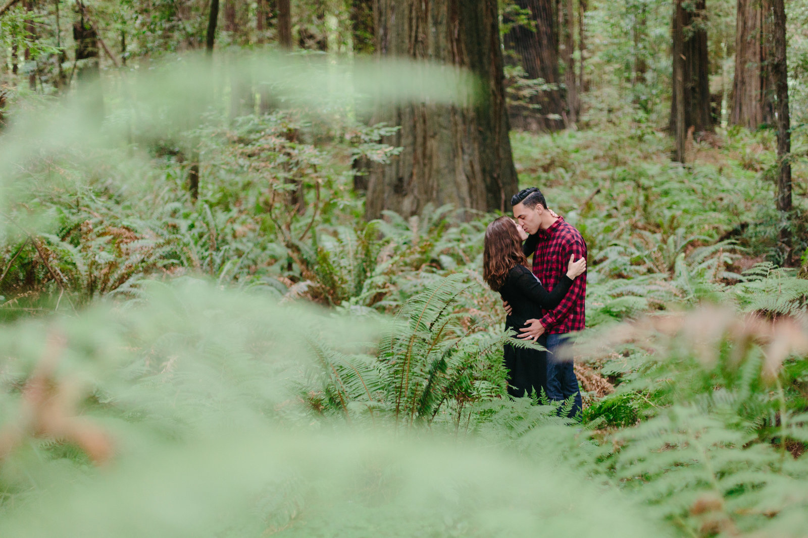 Redwood National Park Avenue of the Giants Engagement Session -7302