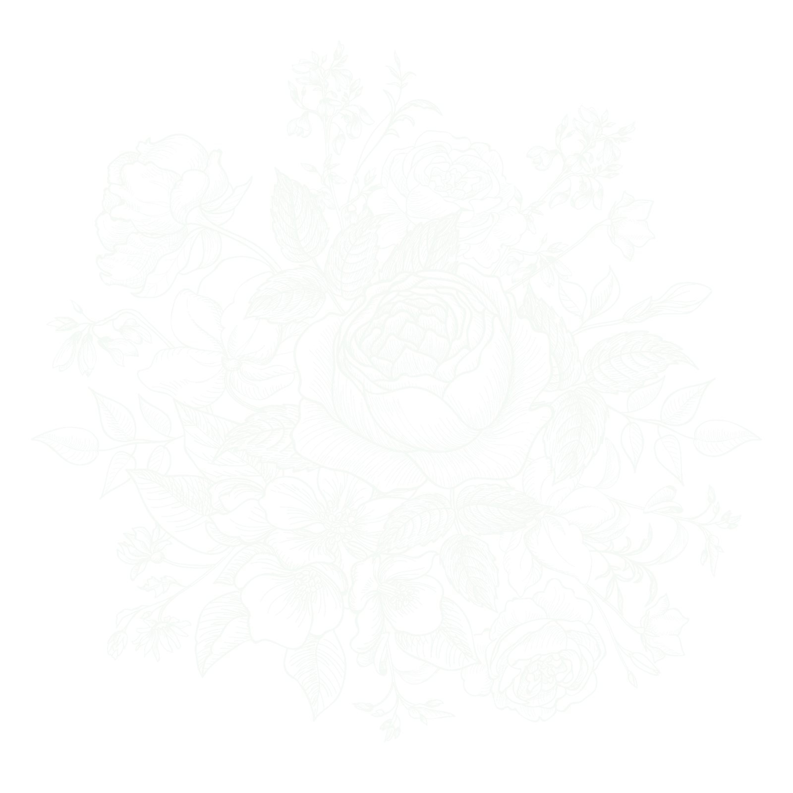 Isolated Floral White