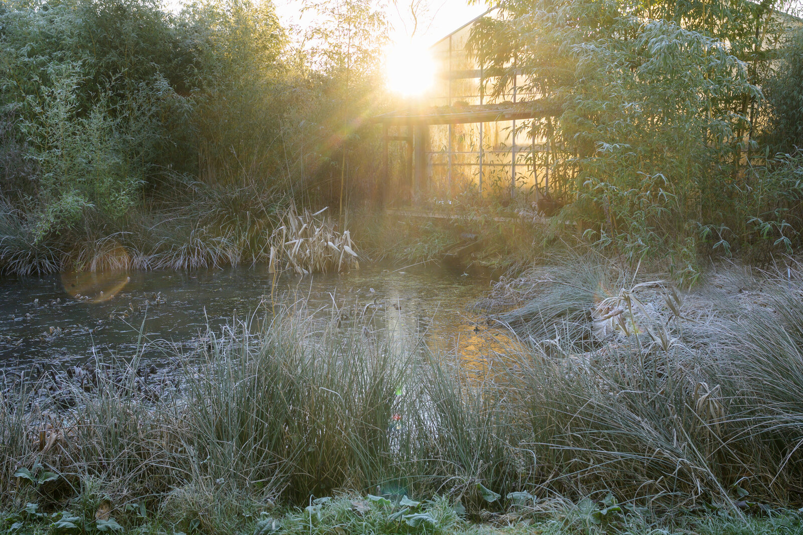 Magazine fotograaf | Trui Heinhuis Fotografie