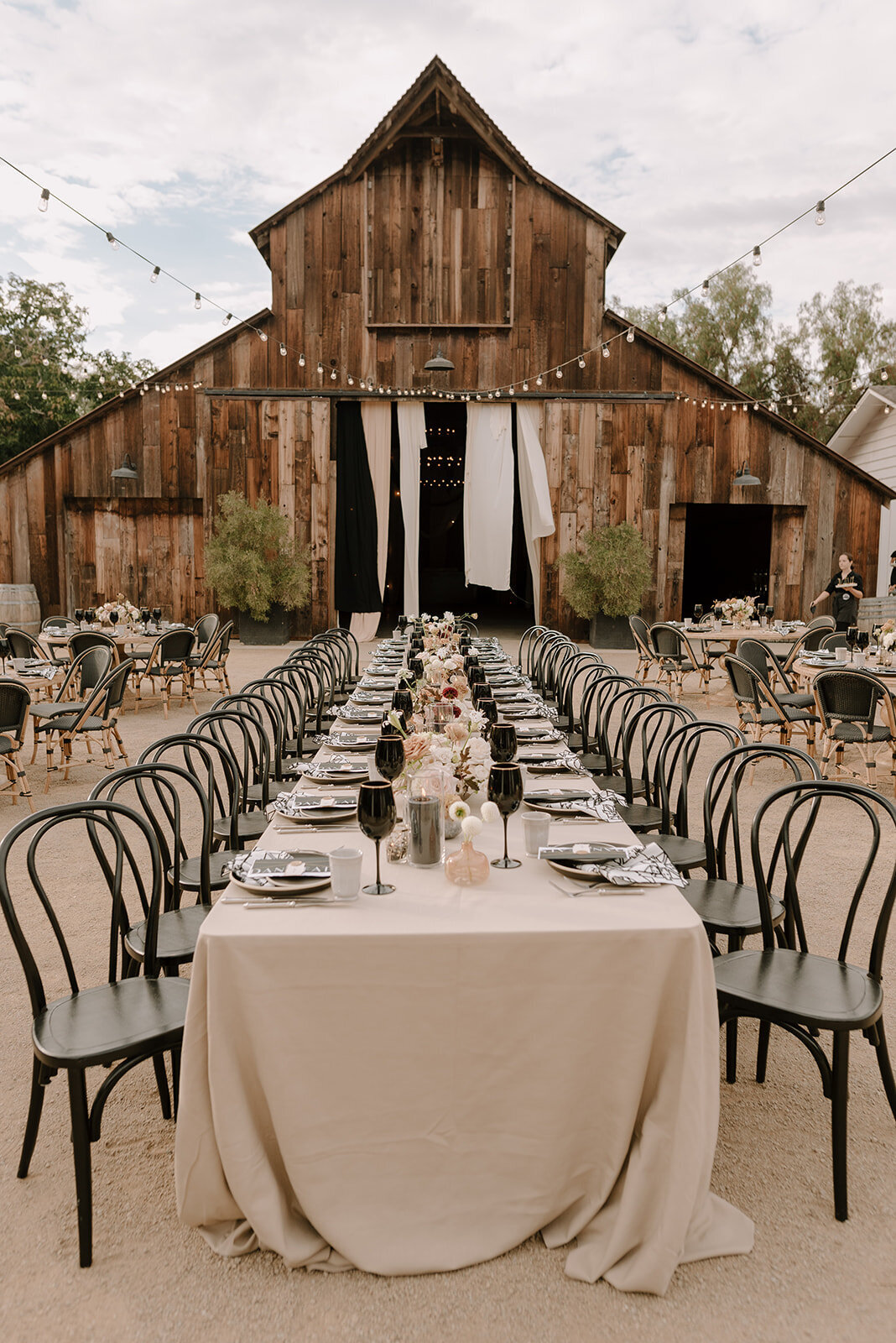 BrianaNolan_Wedding_LS_1-1389