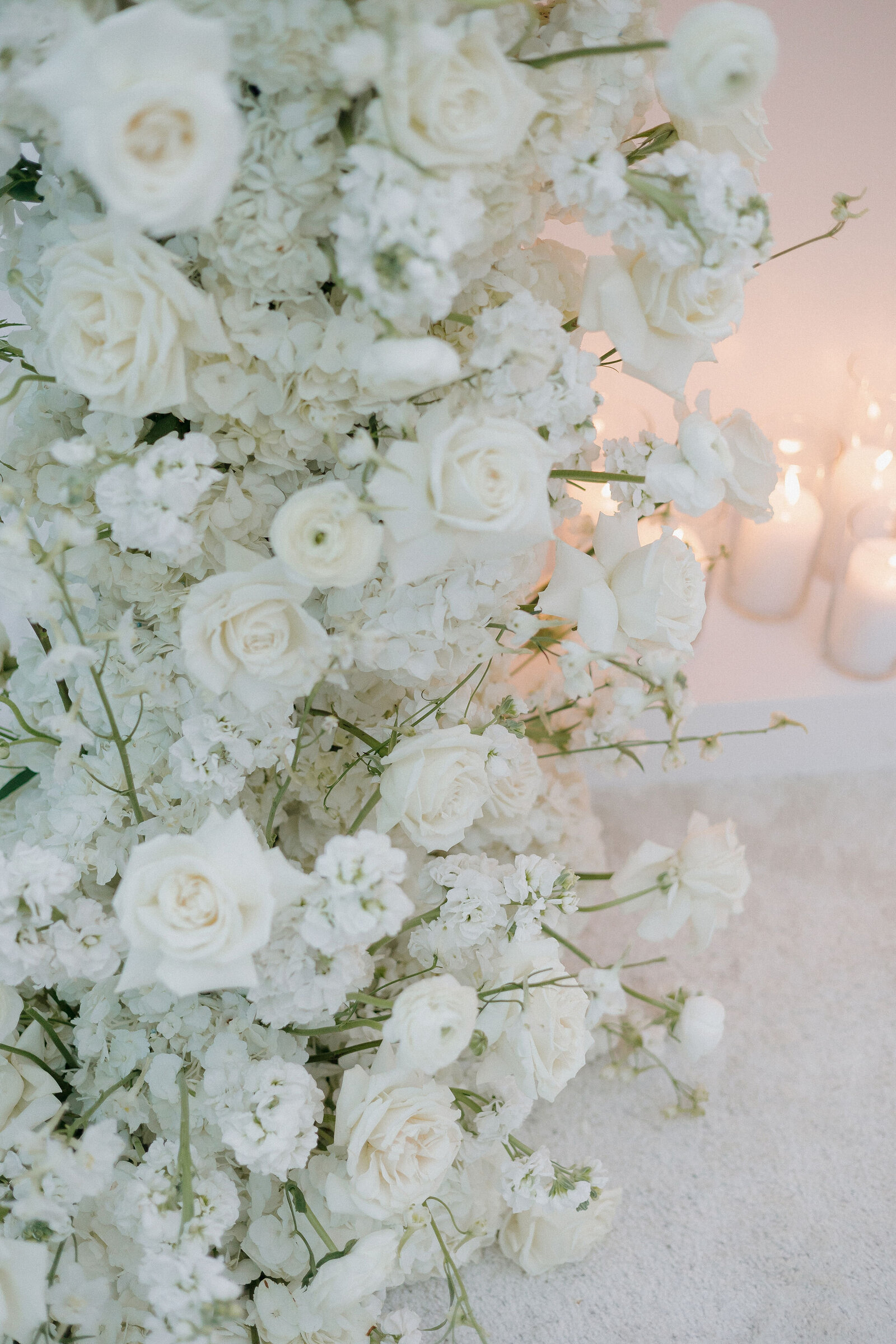 imanleeevents-sandiegoeventplanner-sandiegocorporateeventplannerRSFEvent-584