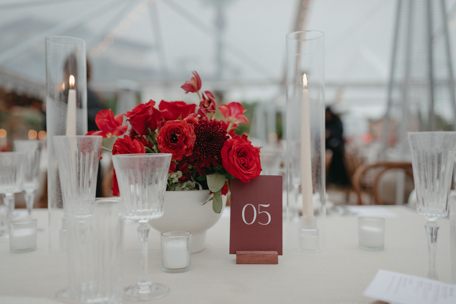 imanleeevents-sandiegoweddingplanner-hummingbirdnestranchwedding-indianweddingplannerLoganColeWedingsPhotographyLoganColeWedingsPhotographyLoganColeWedingsPhotography-2853