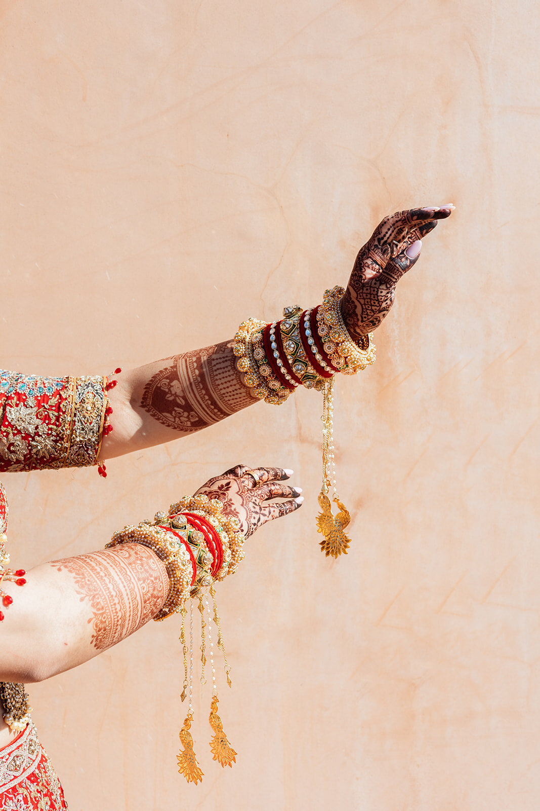 mary-fernandez-switzerland-wedding006